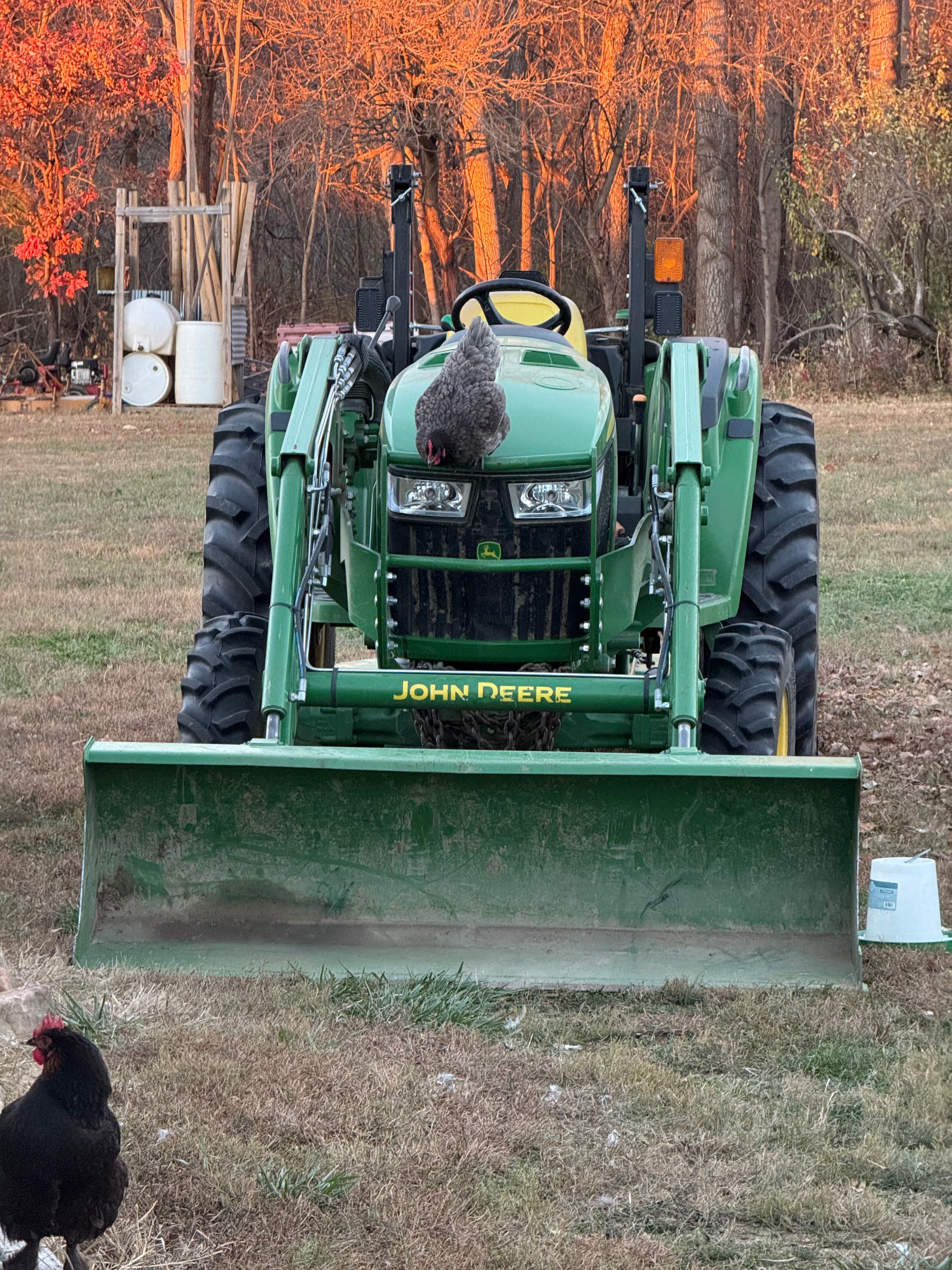 Brown Farm