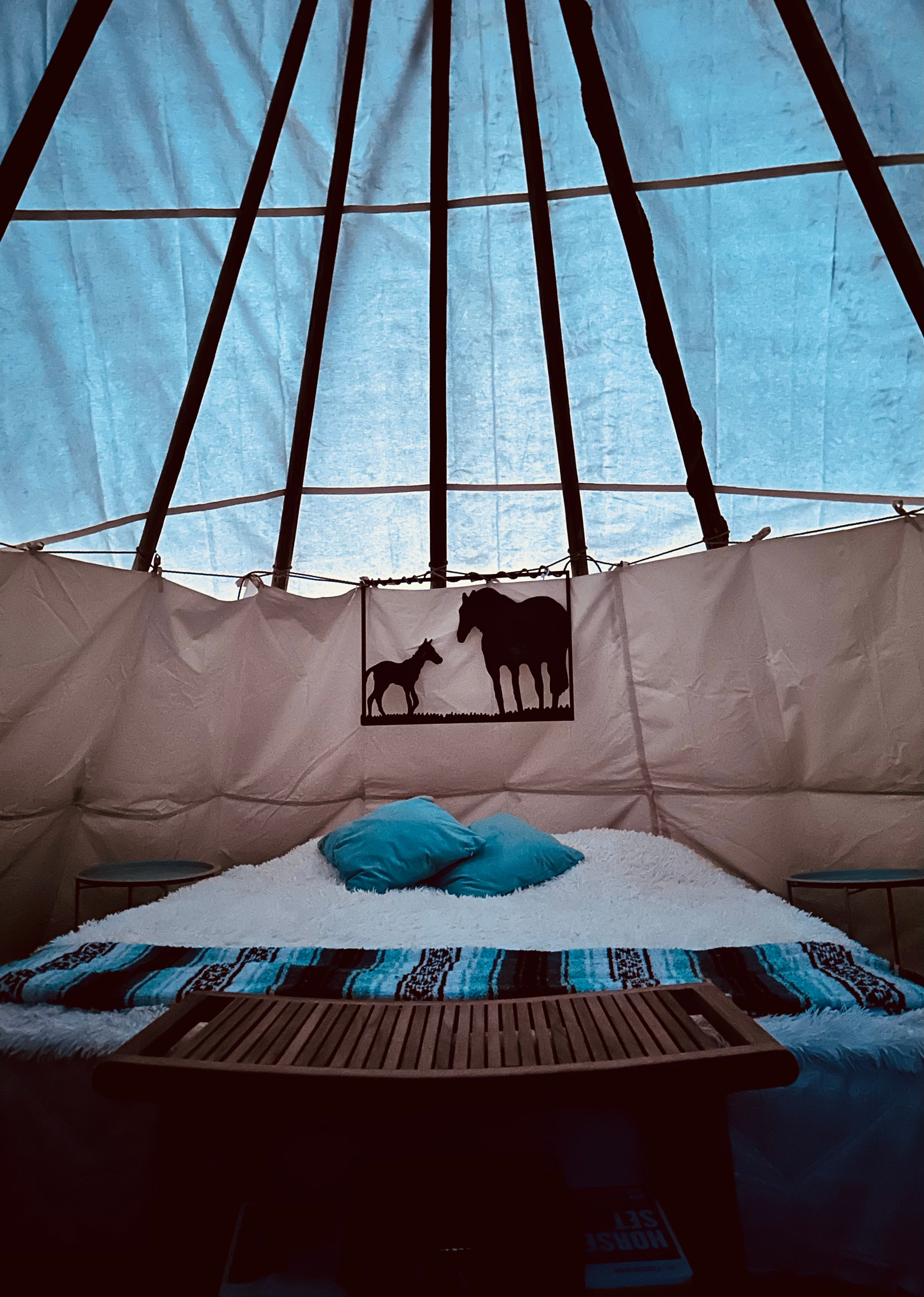 Tipi Canyon, Joshua Tree Nat’l Park