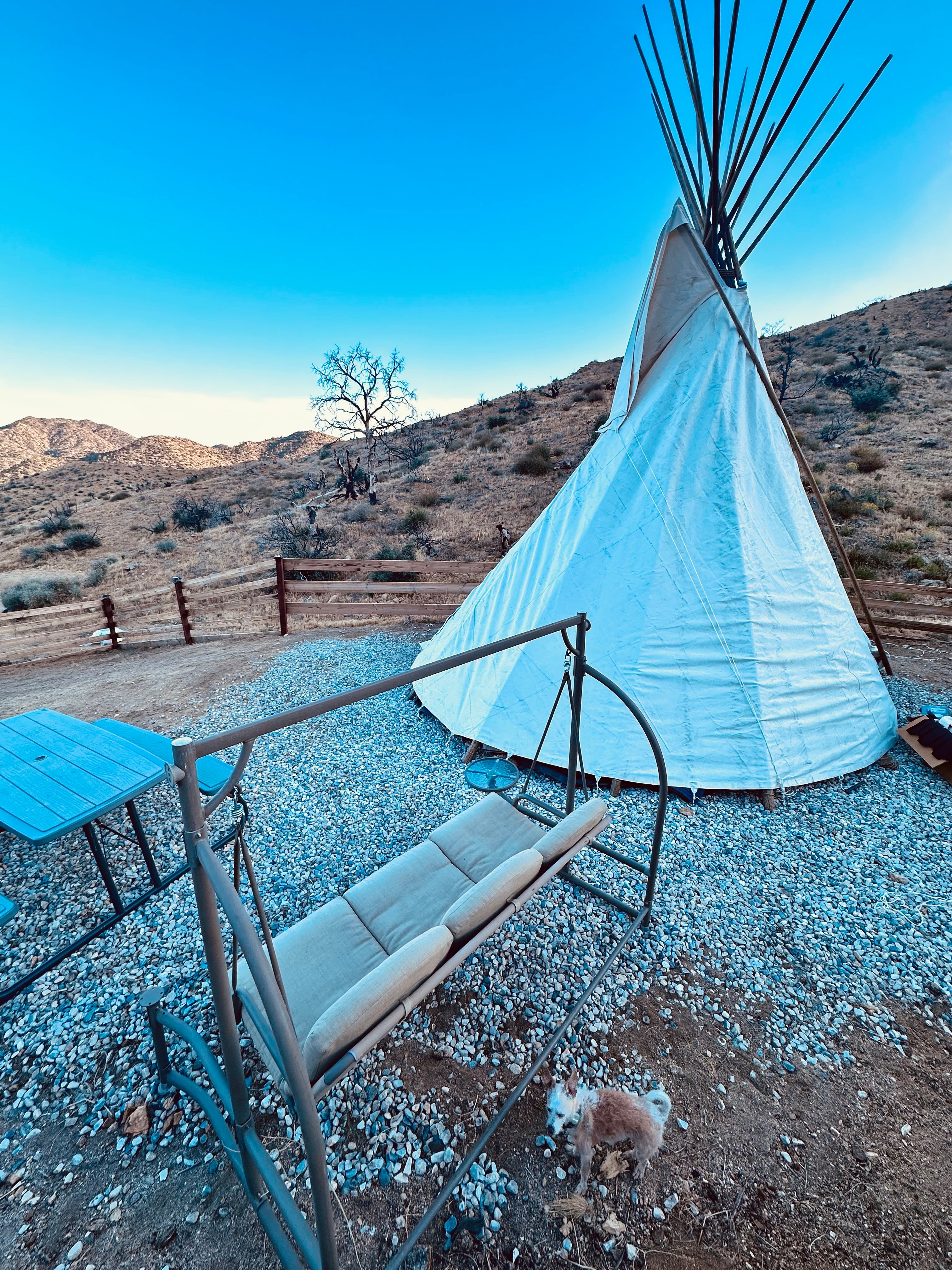 Tipi Canyon, Joshua Tree Nat’l Park