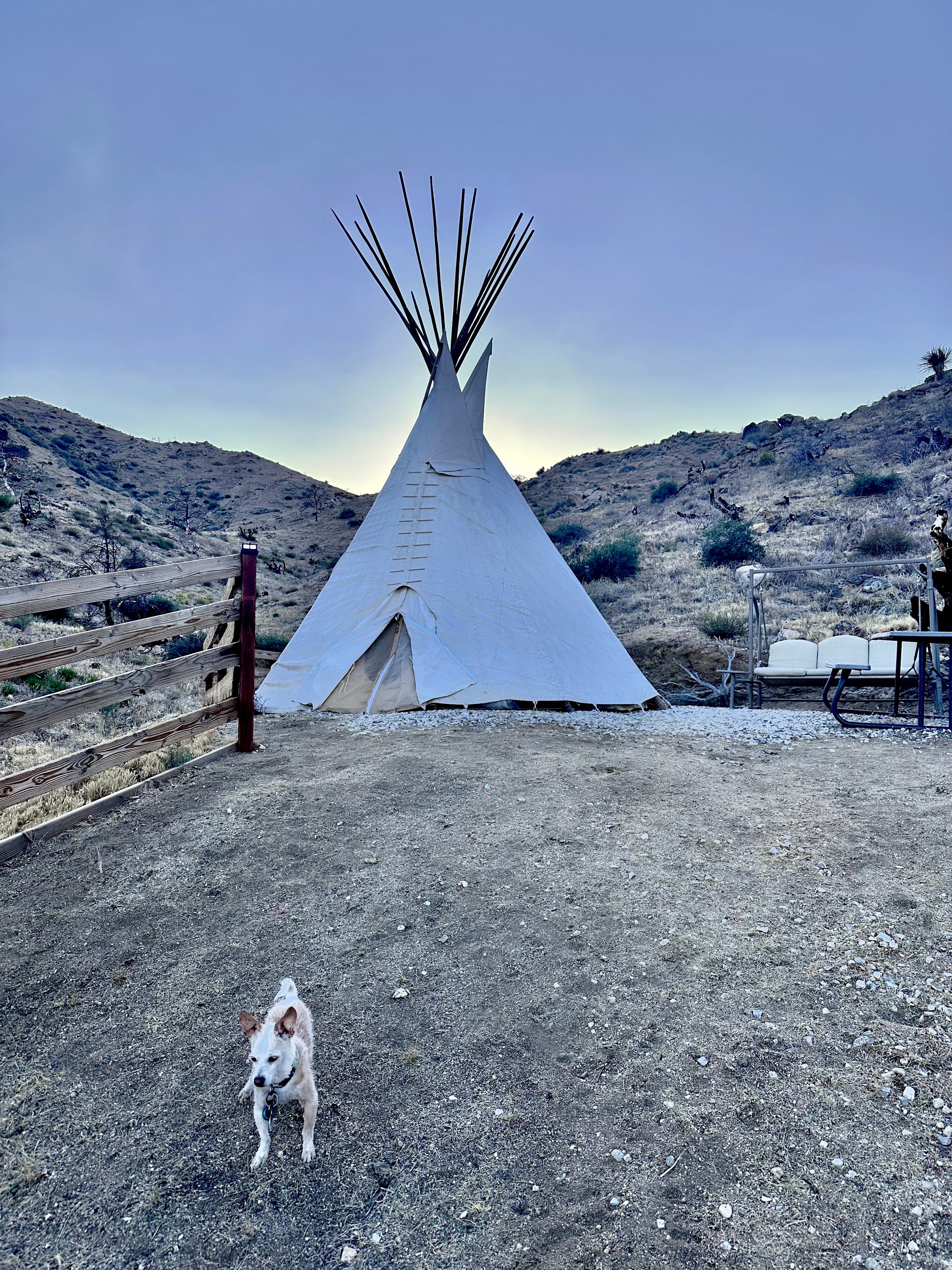 Tipi Canyon, Joshua Tree Nat’l Park