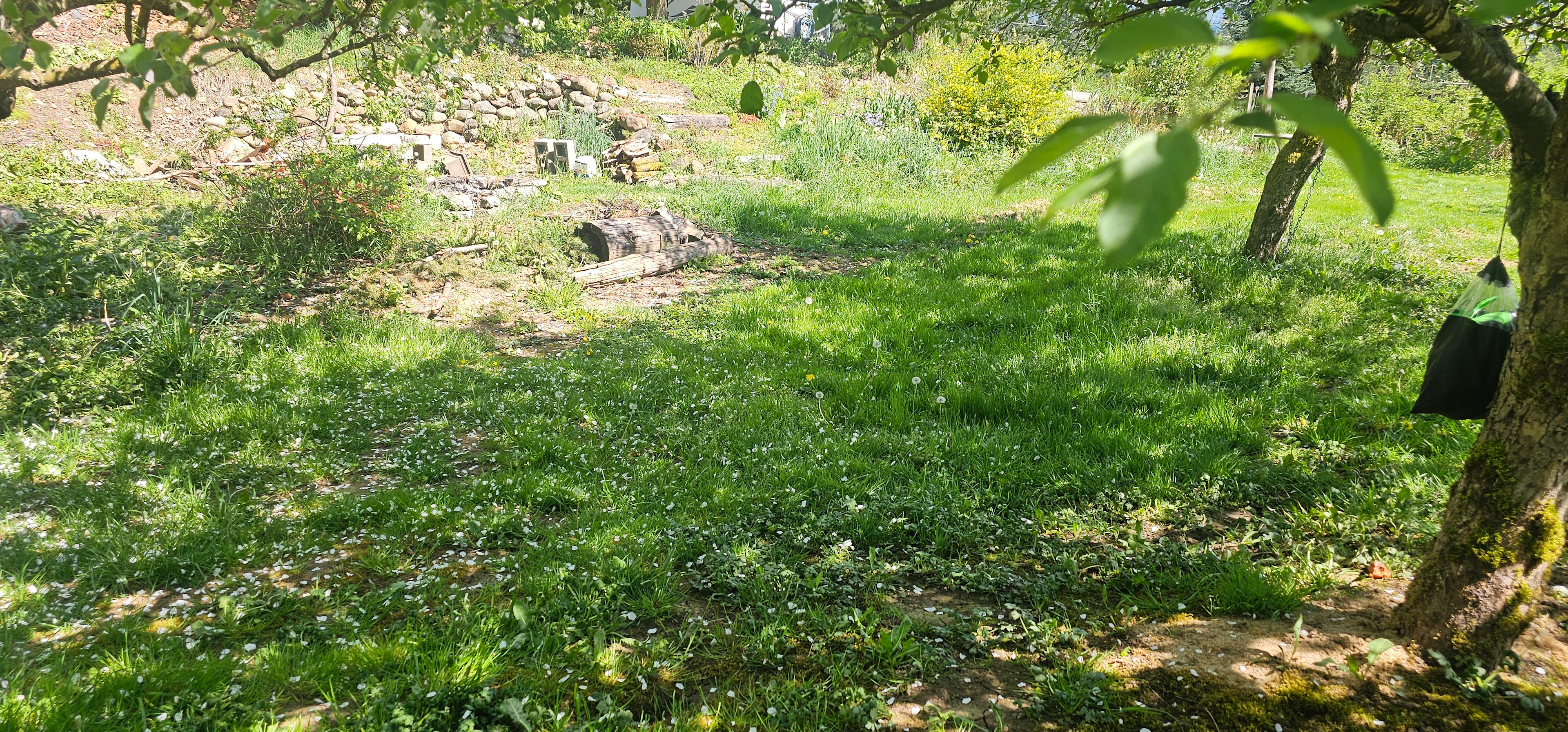 Apple Tree Tent Sites 2 and 3
