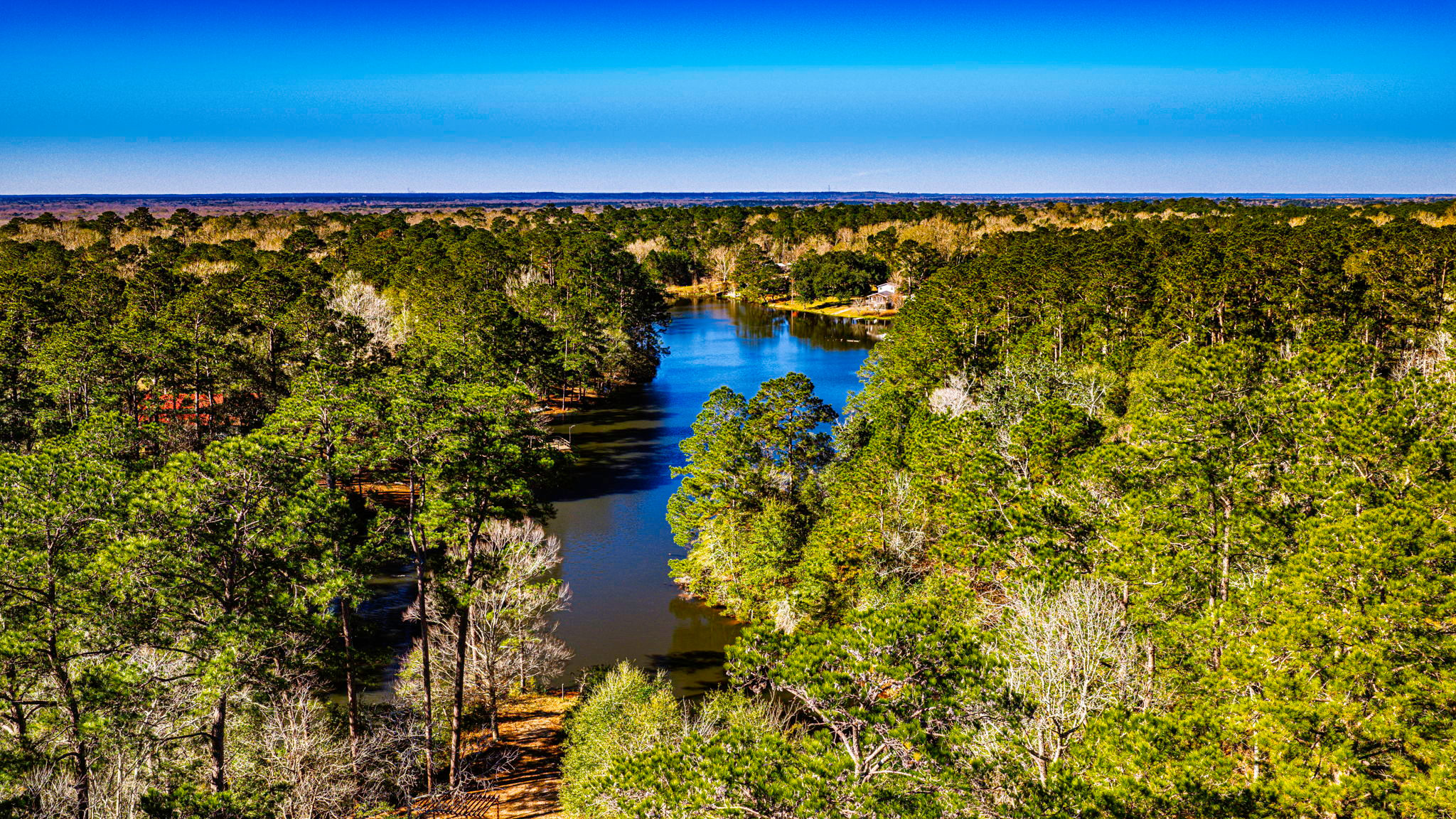 Woodsy Hollow