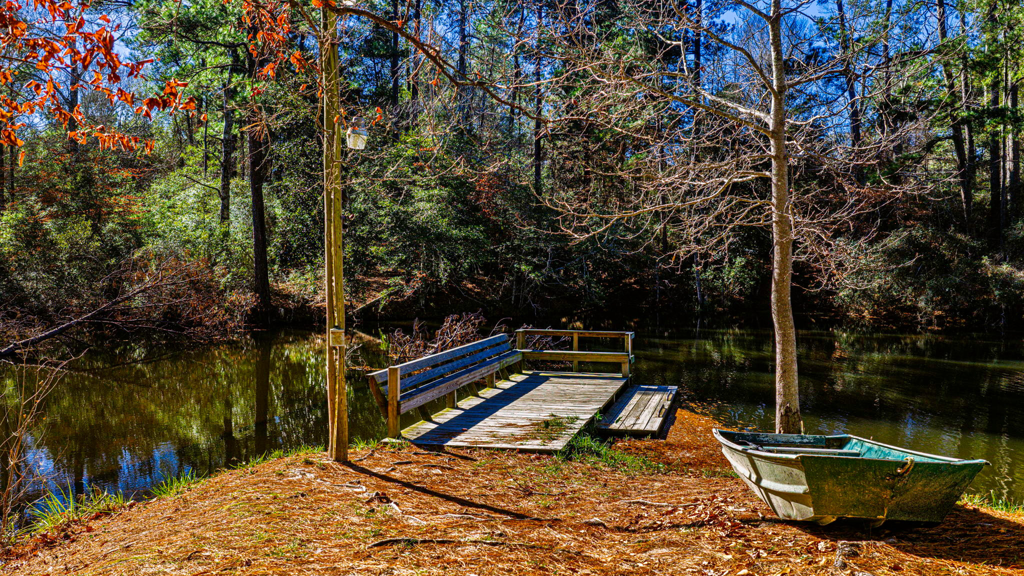 Woodsy Hollow
