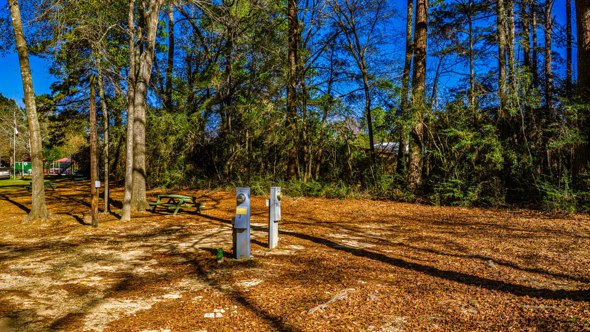 Woodsy Hollow