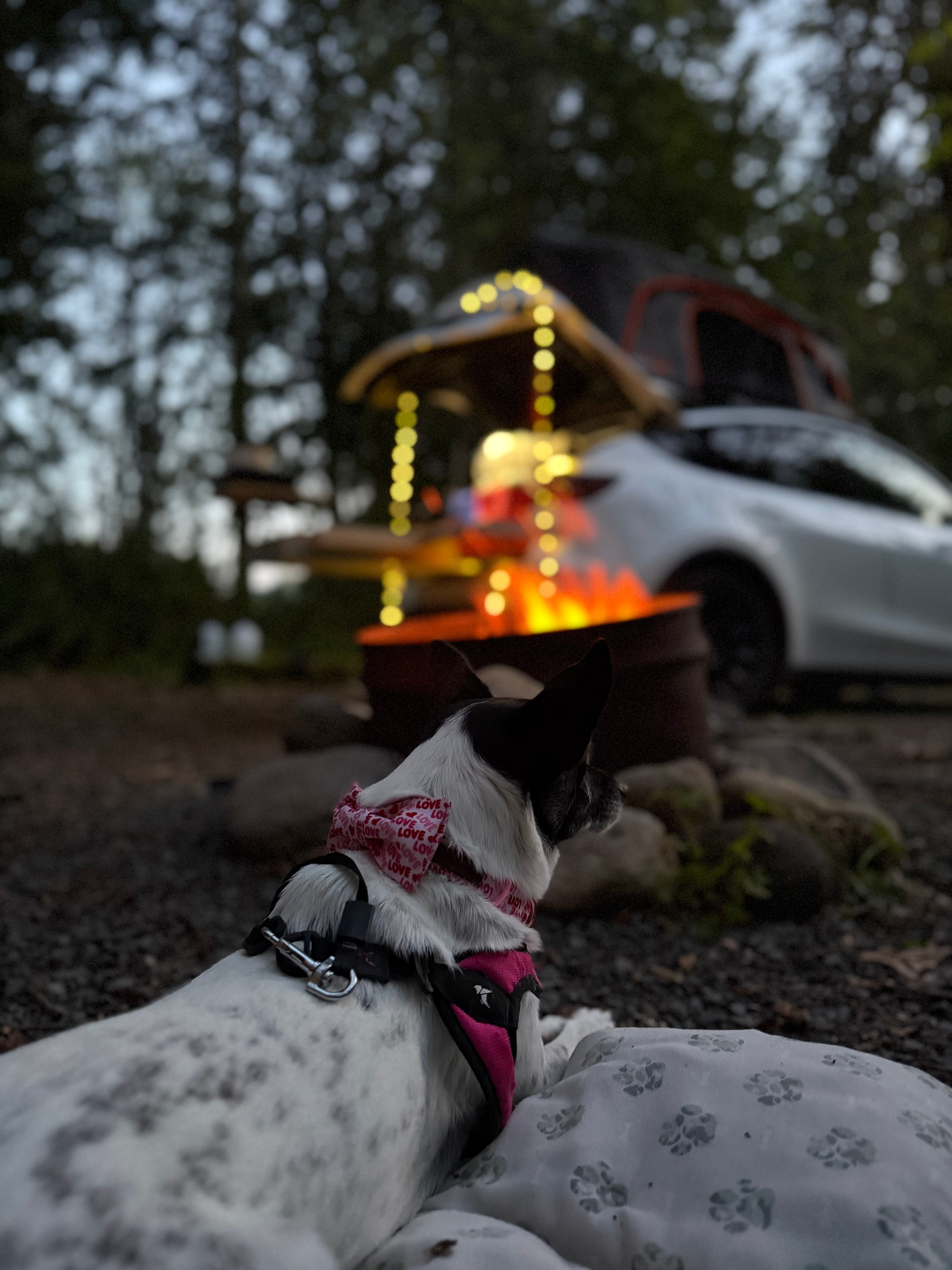 Riverside Camping Near Mt Rainier