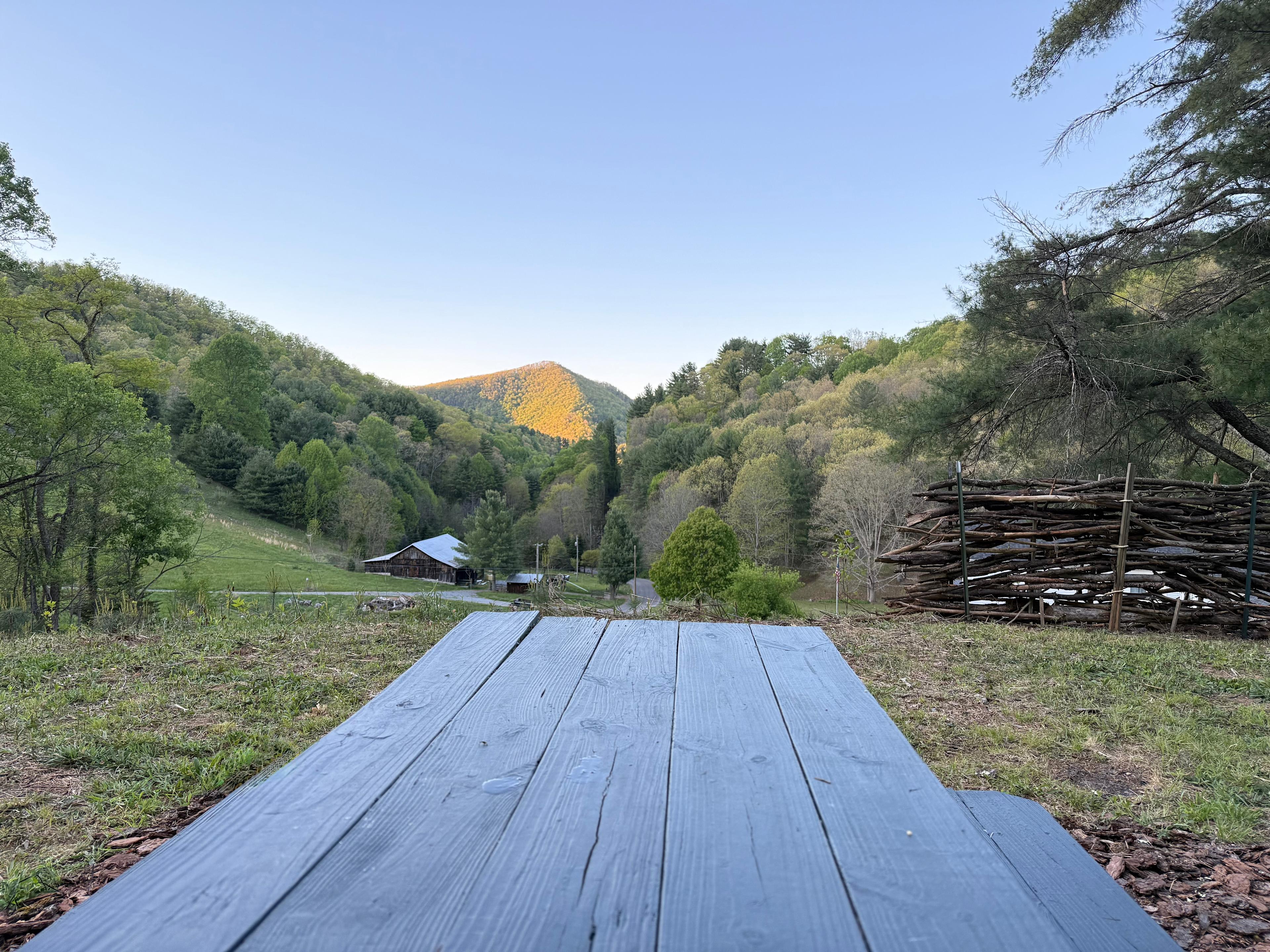 Picnic table with a view!