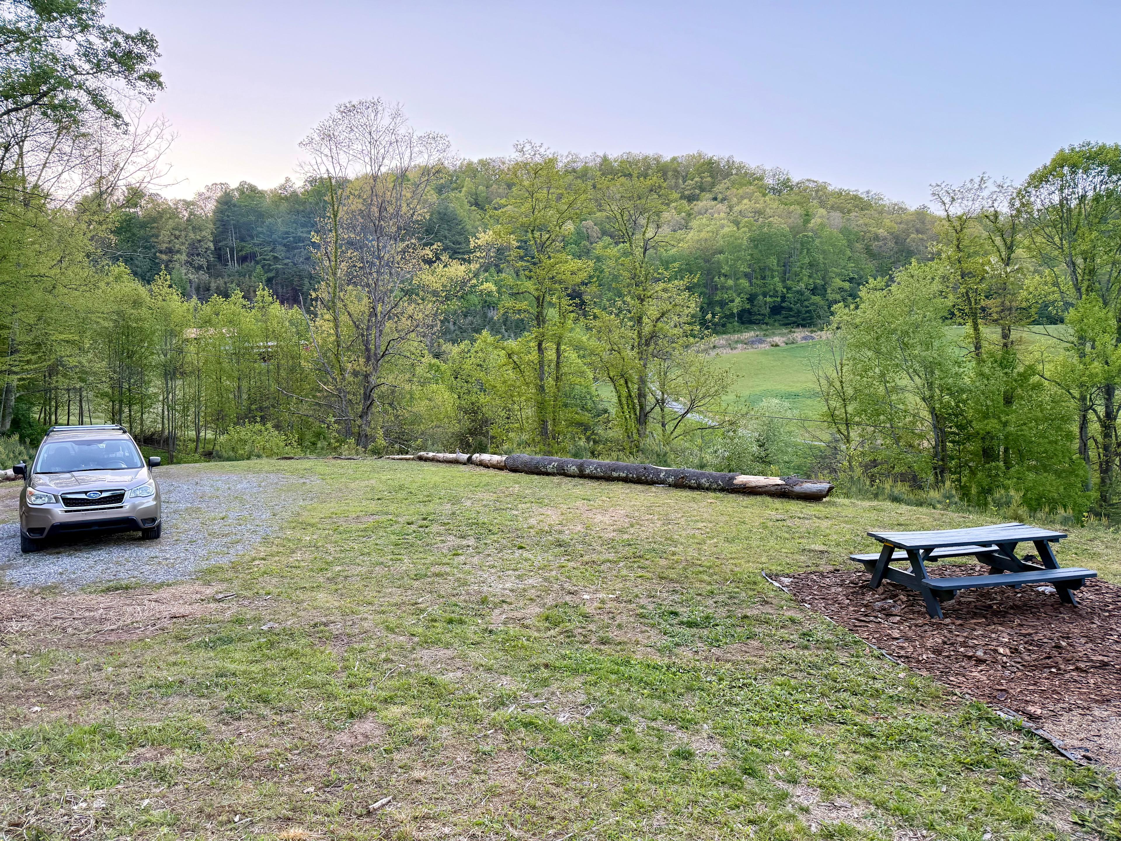 Plenty of space to park.  Tents are allowed anywhere on the grass.