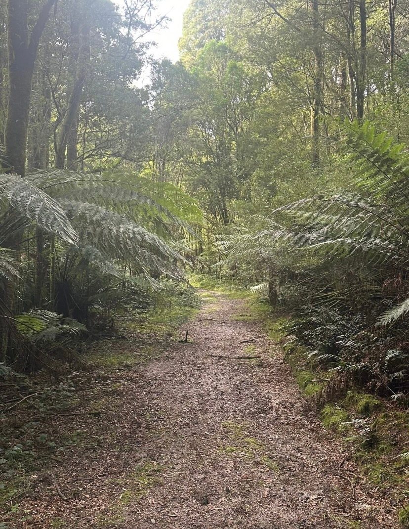 Lavers Hill Camp