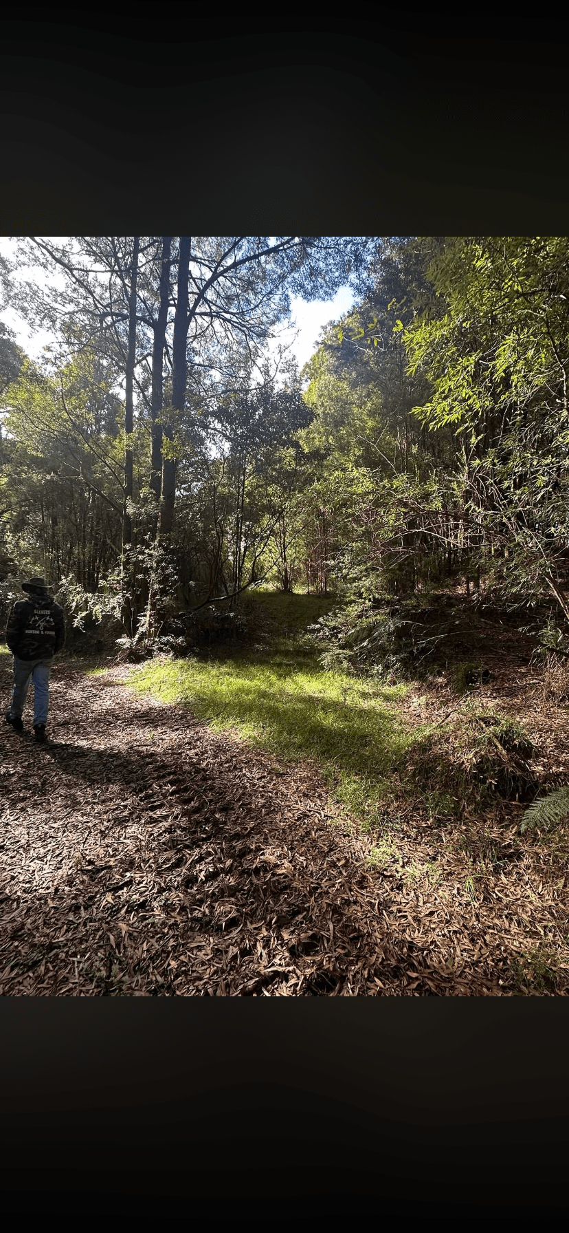 Lavers Hill Camp