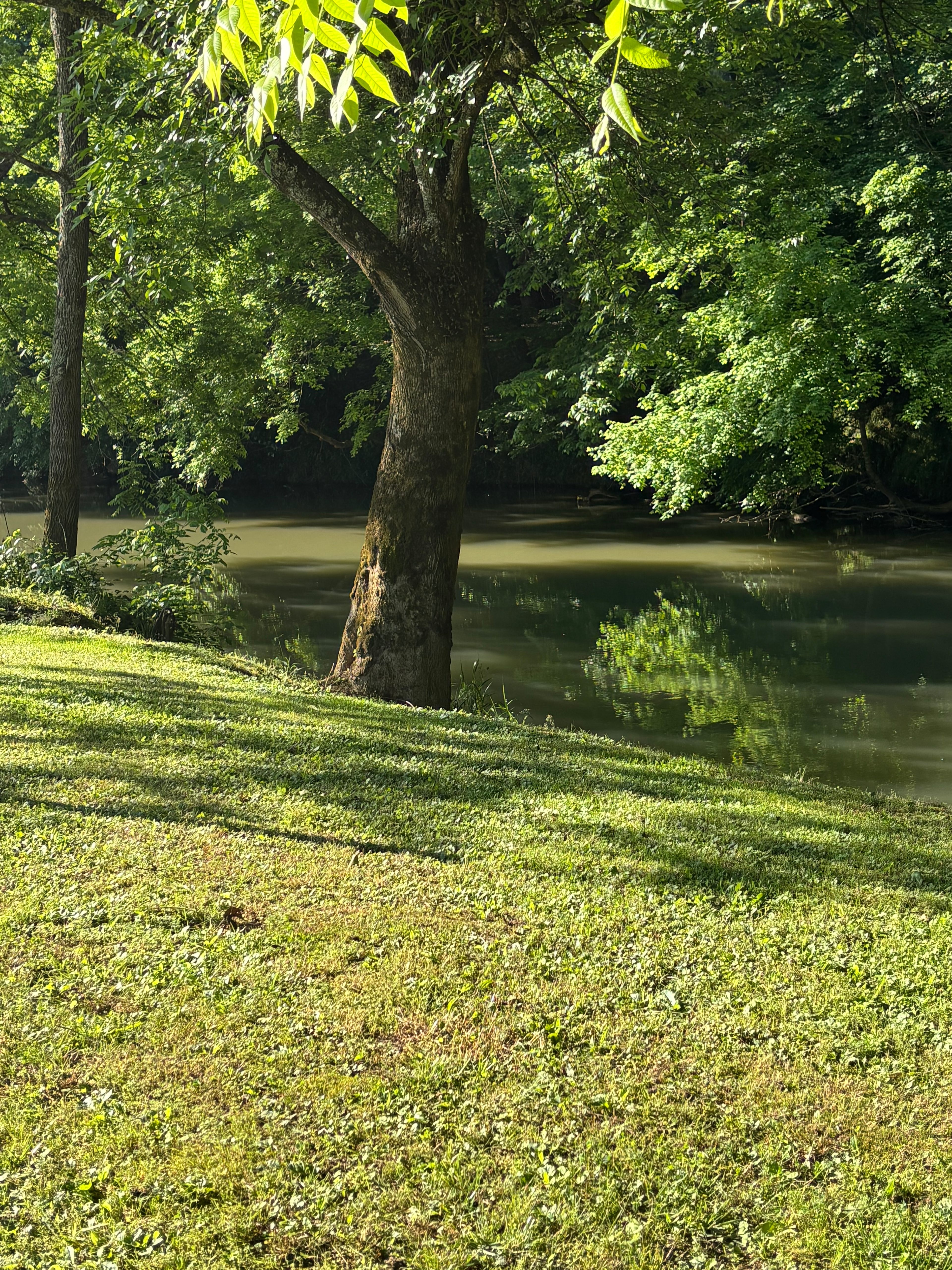 Ross Landing