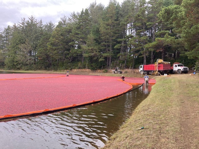 The Cranberry Mill Cranberry Farm