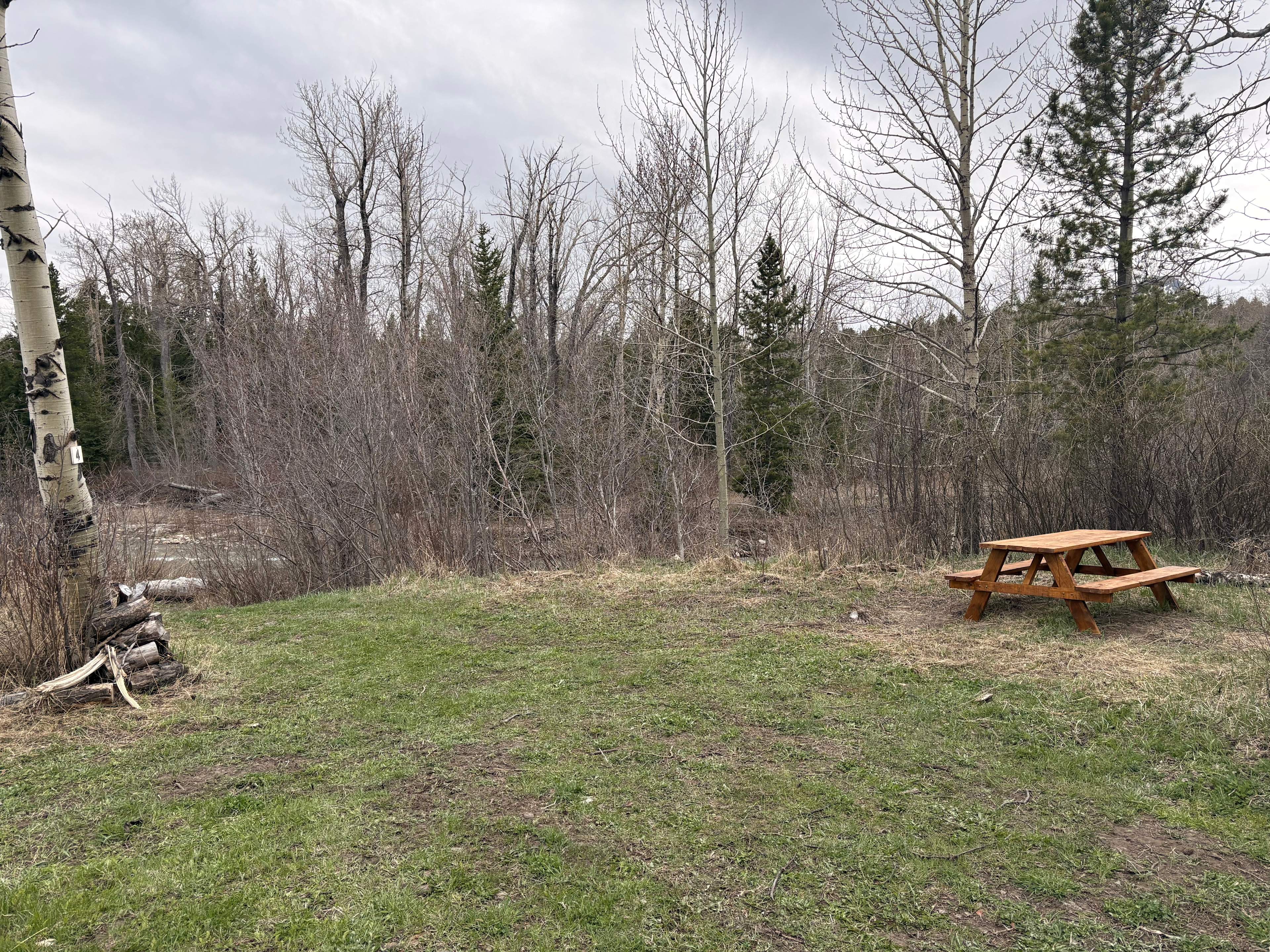 Midvale Creek Campground