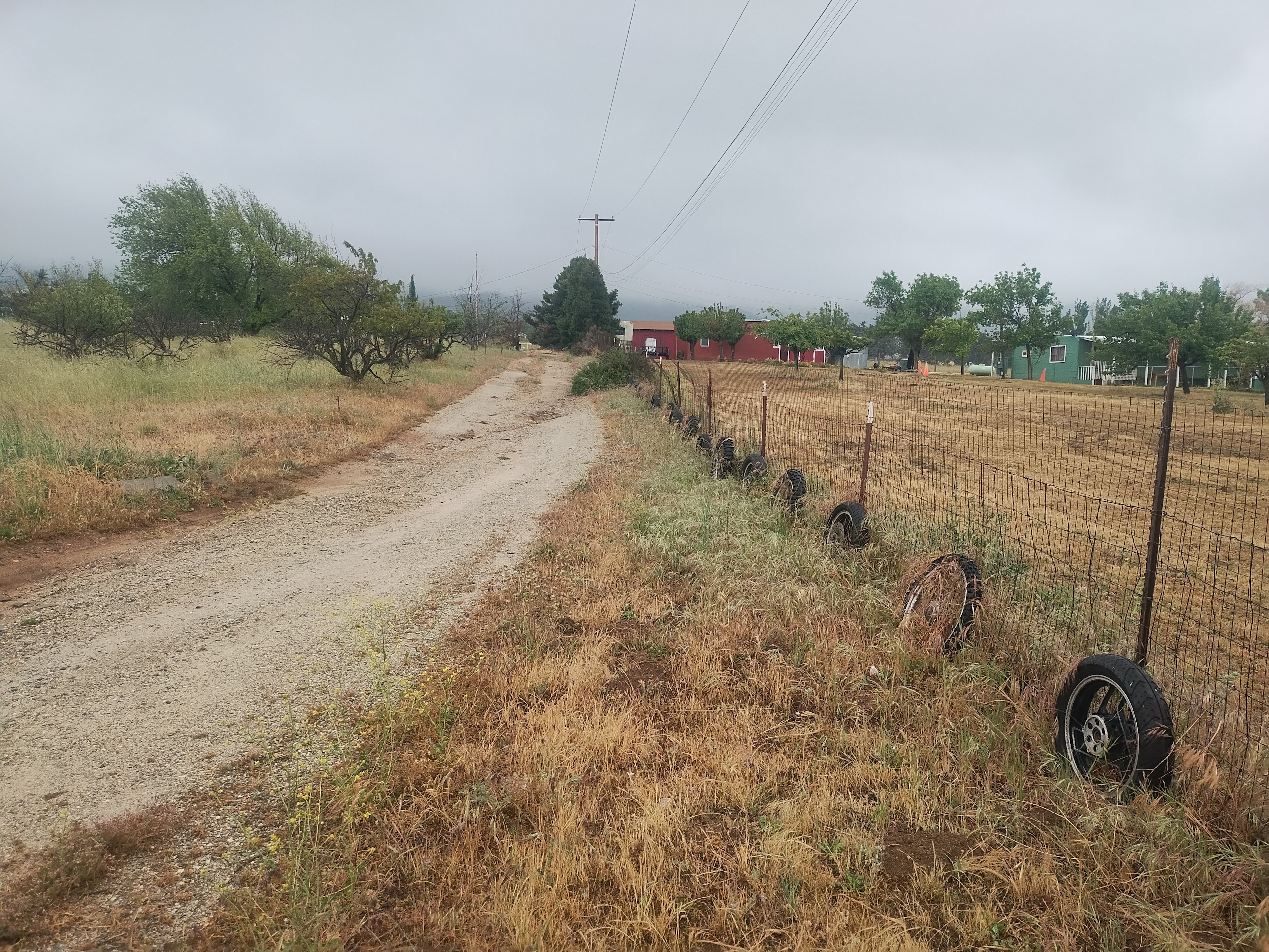 Weird Farm