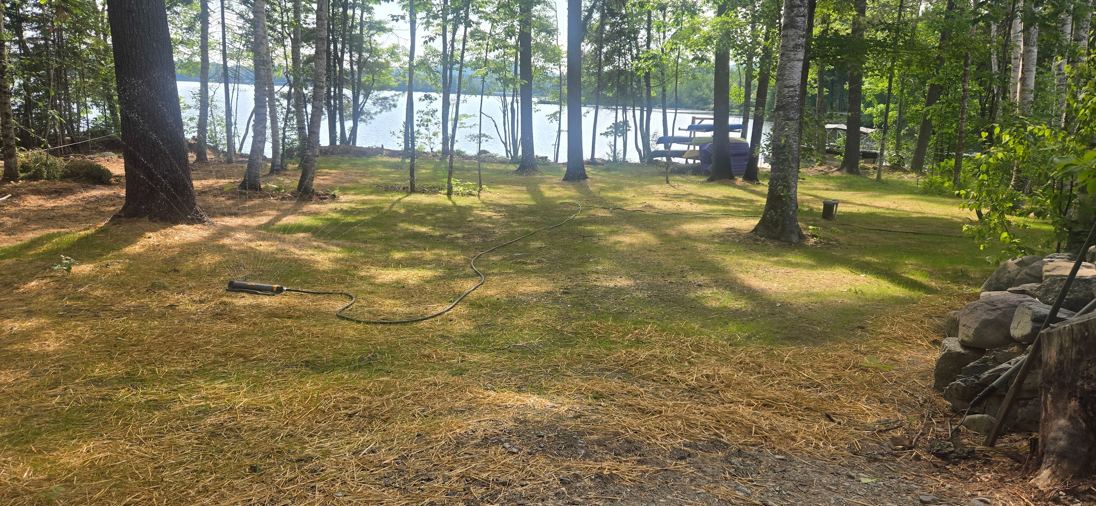Whispering Pines