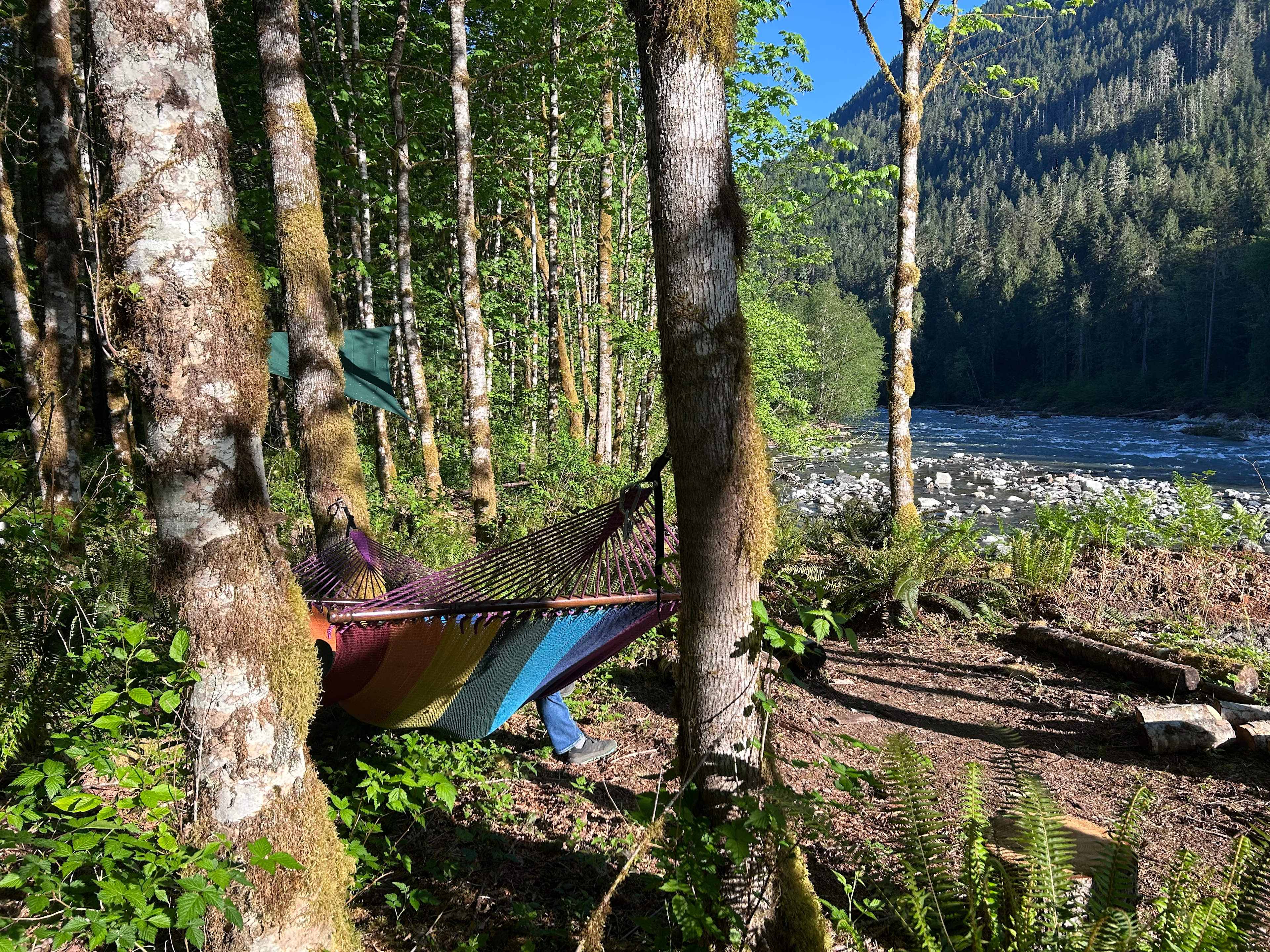 North Cascades Hammocklandia