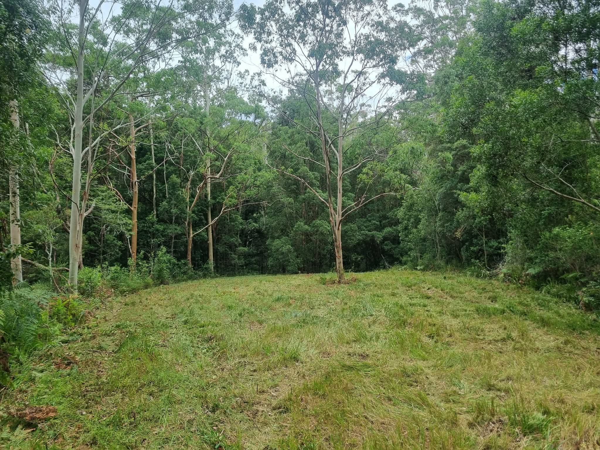 This is the camp area.