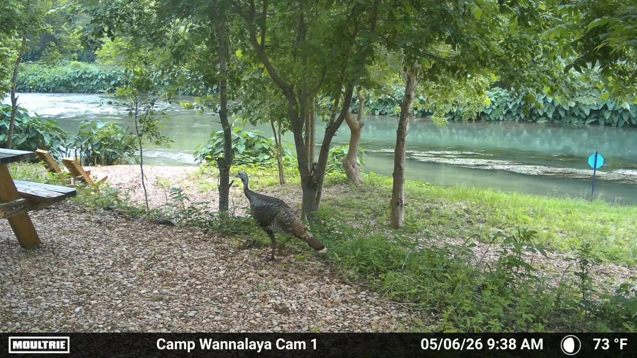Camp Wannalaya