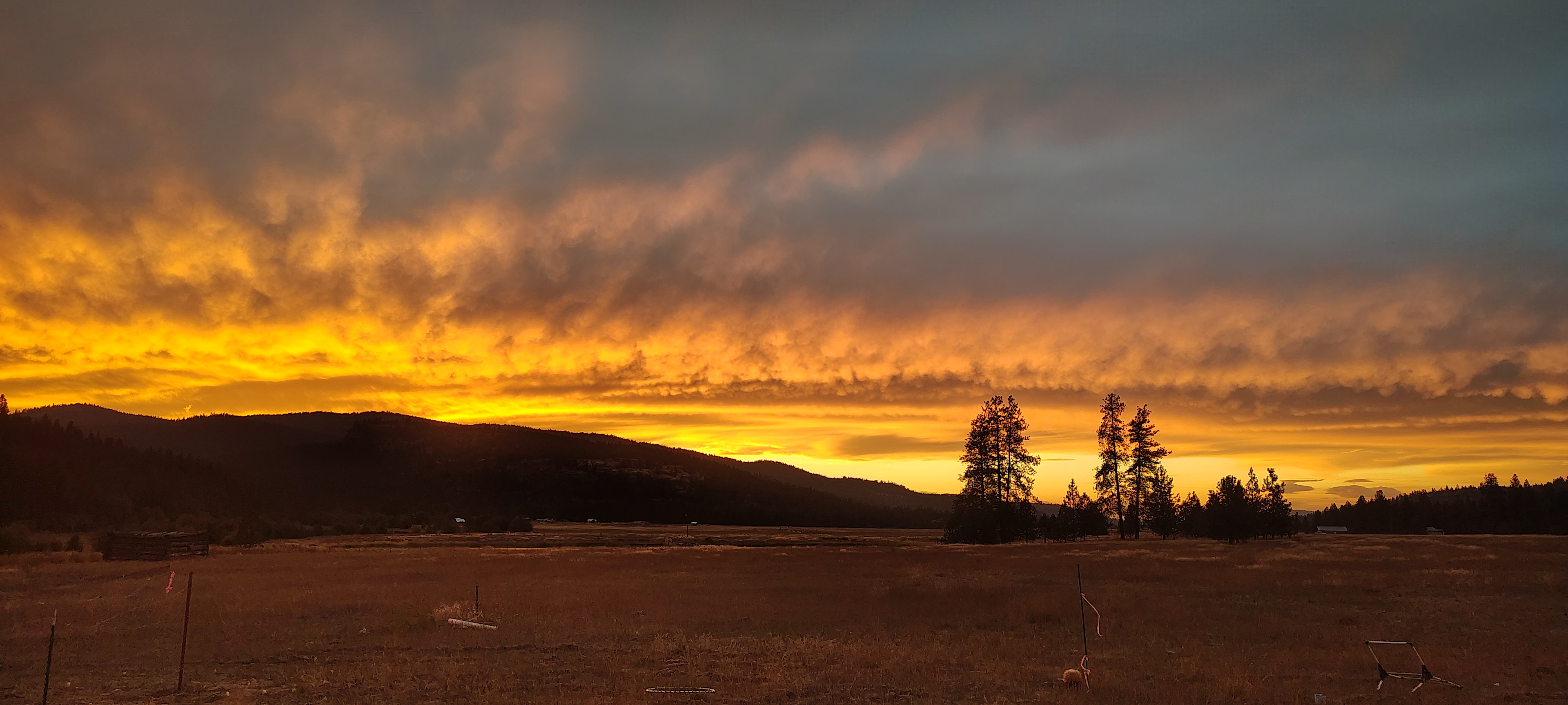 Eagle Rock Acres