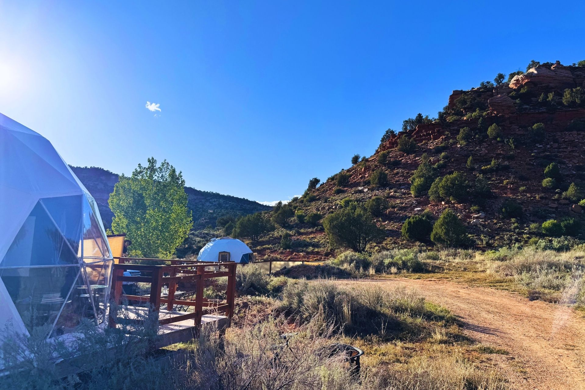 Desert Bloom Campground