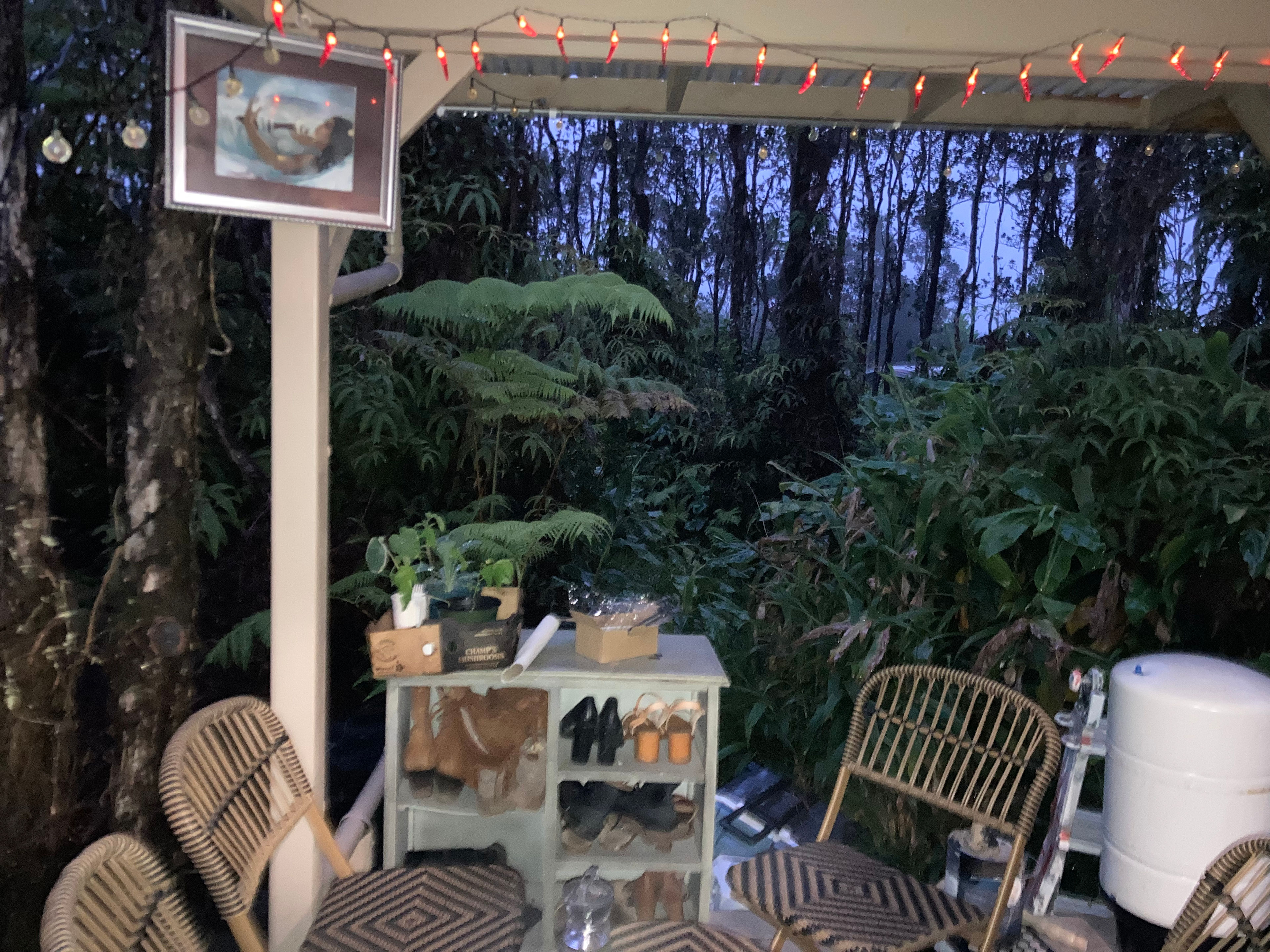Tiny shack