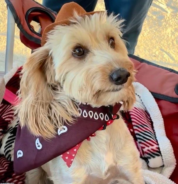 Rufus enjoyed his stay! 