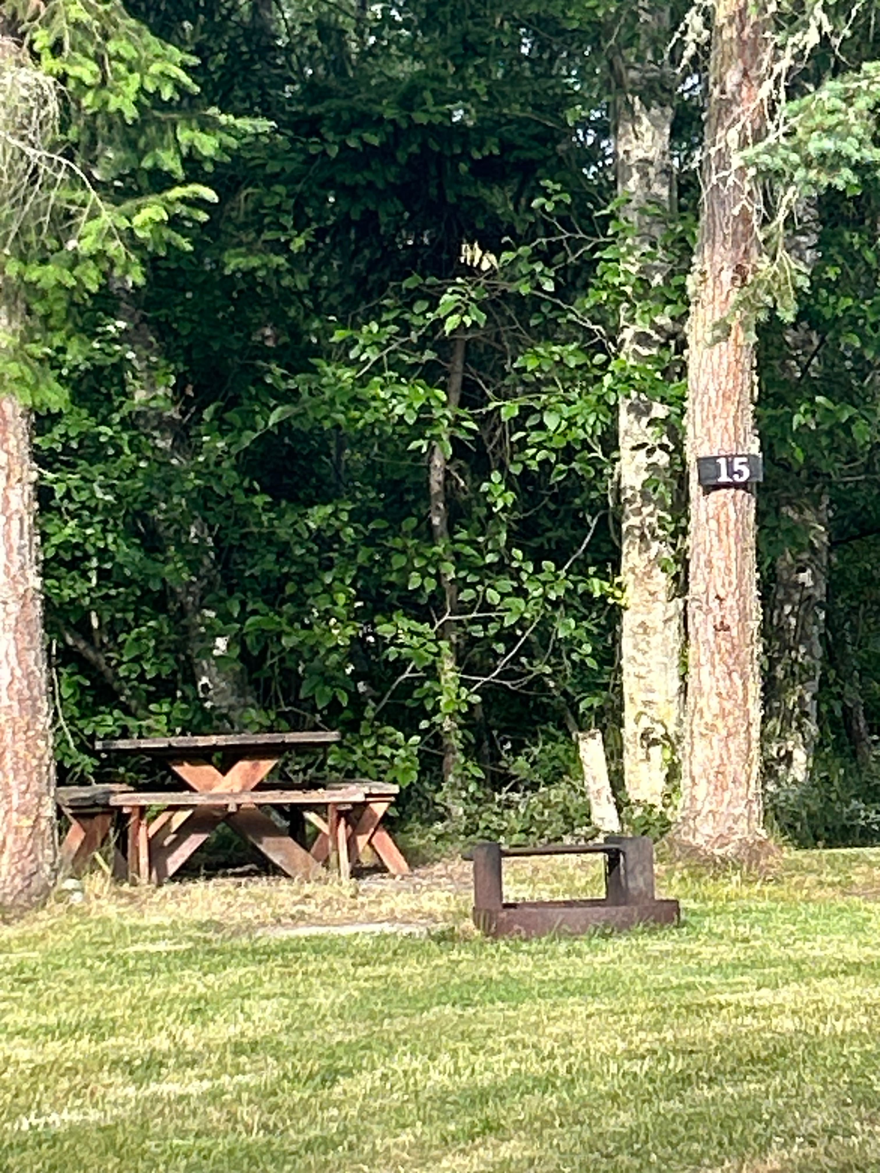 Sage Horse Camp.