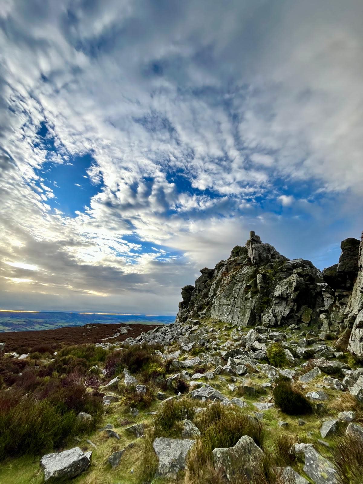 Lower Vessons View