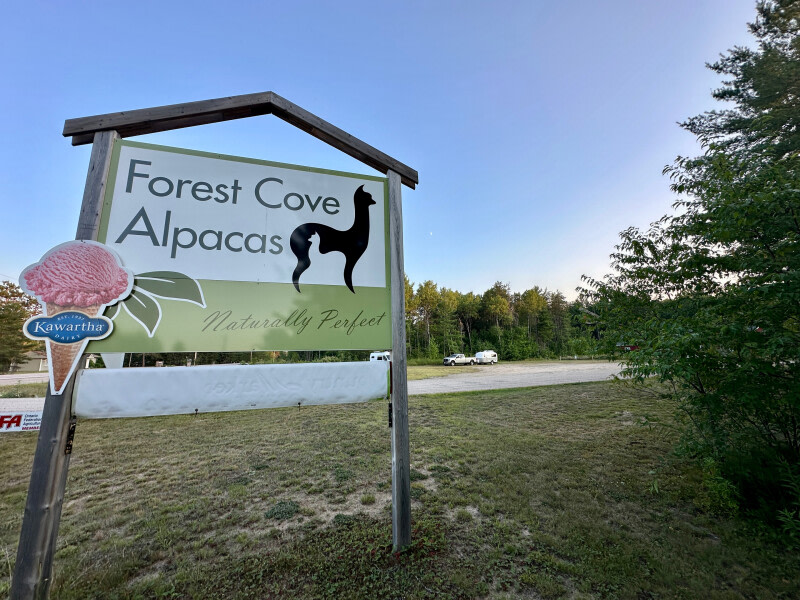 Forest Cove Farm