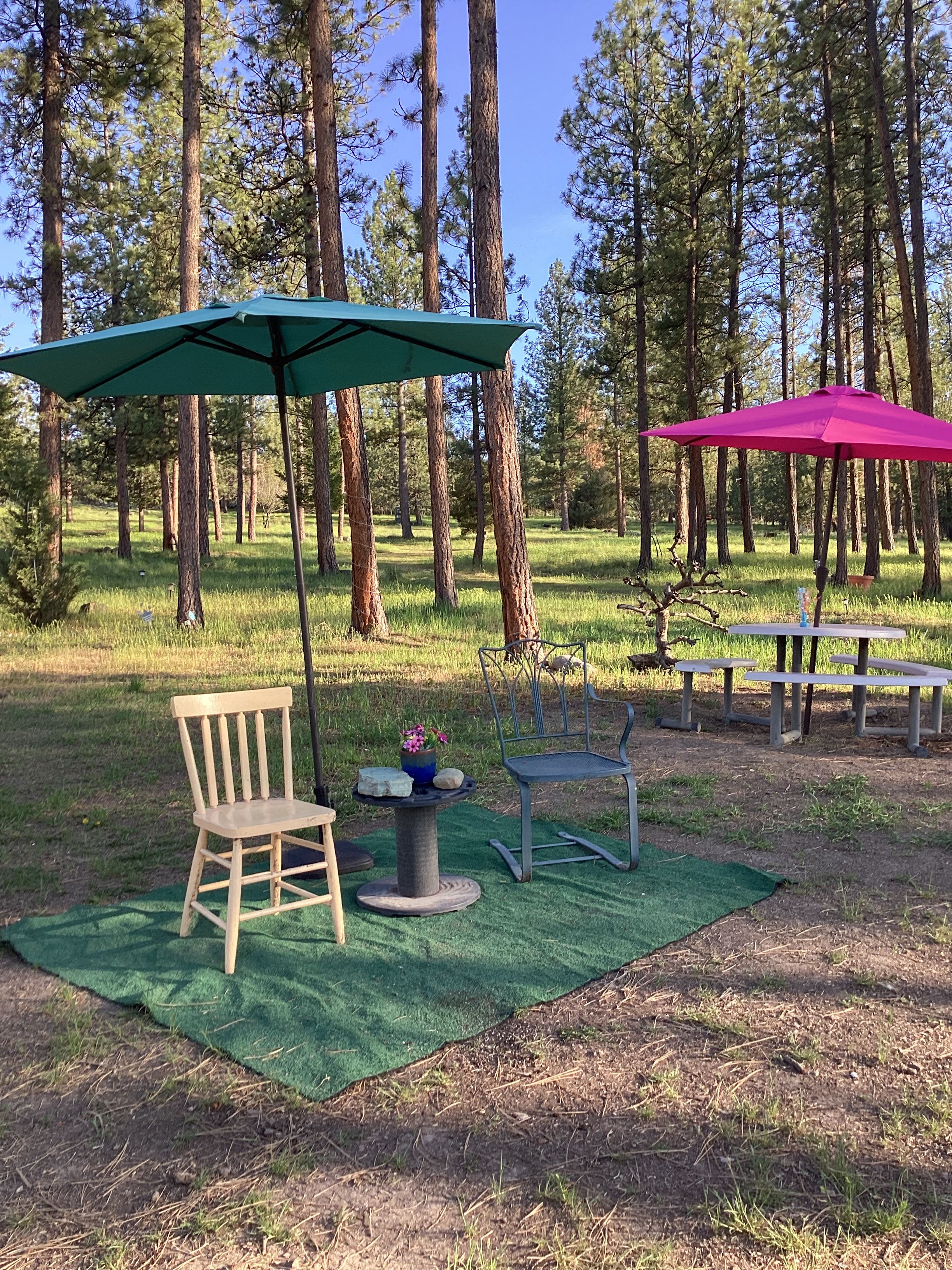 Nellie Sue Campground