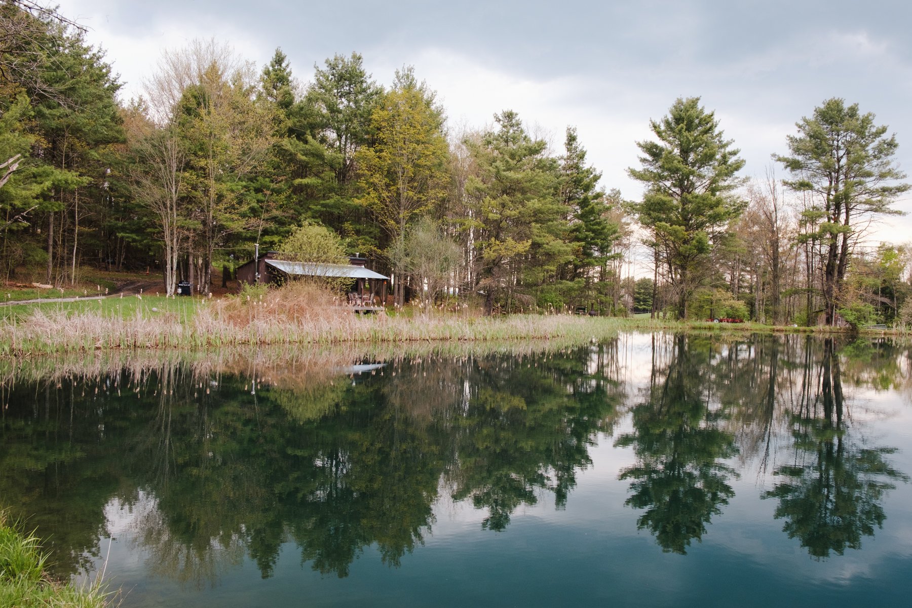 So cool having a pond all to yourself! 
