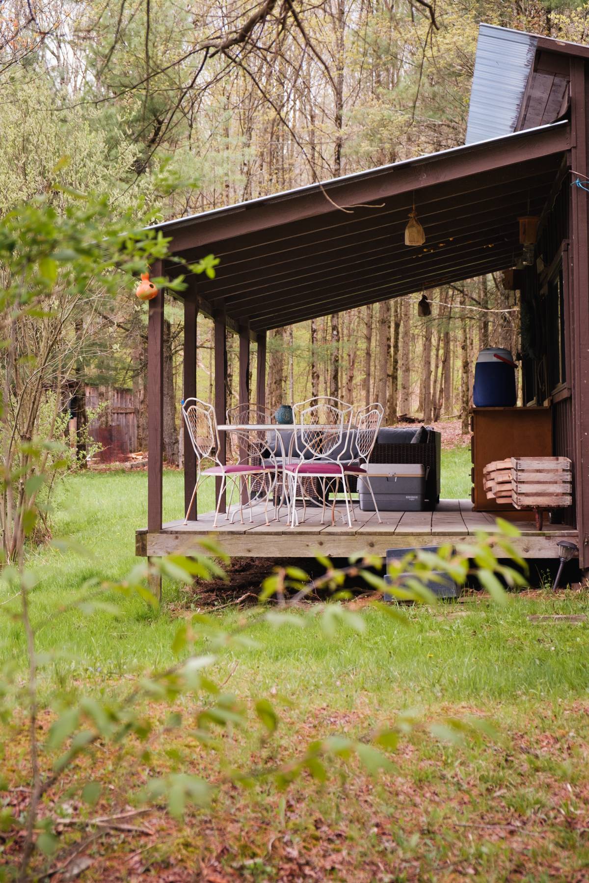 Rustic Reins-Off Grid Cabin