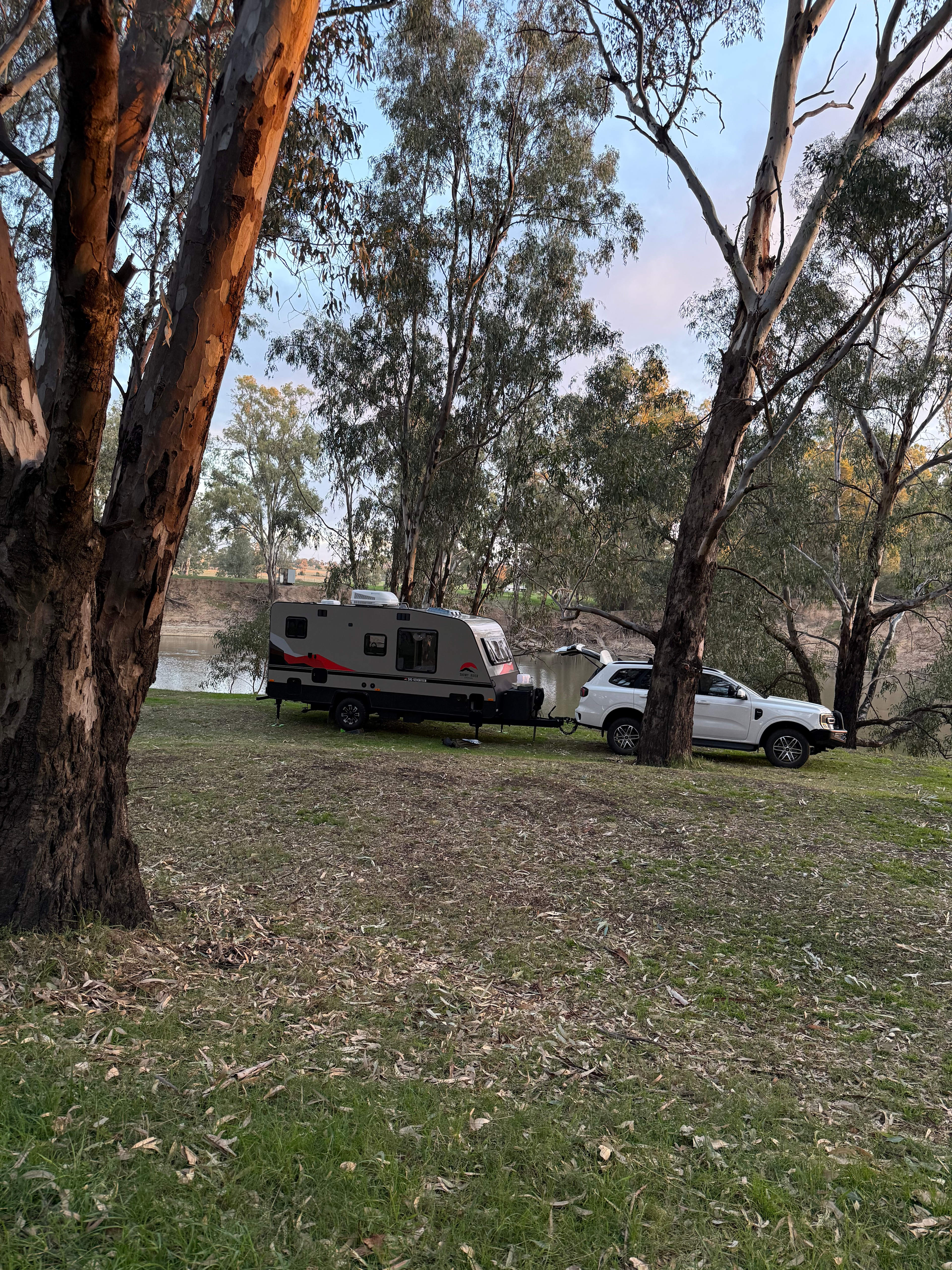 Palm Cove On The Murrumbidgee