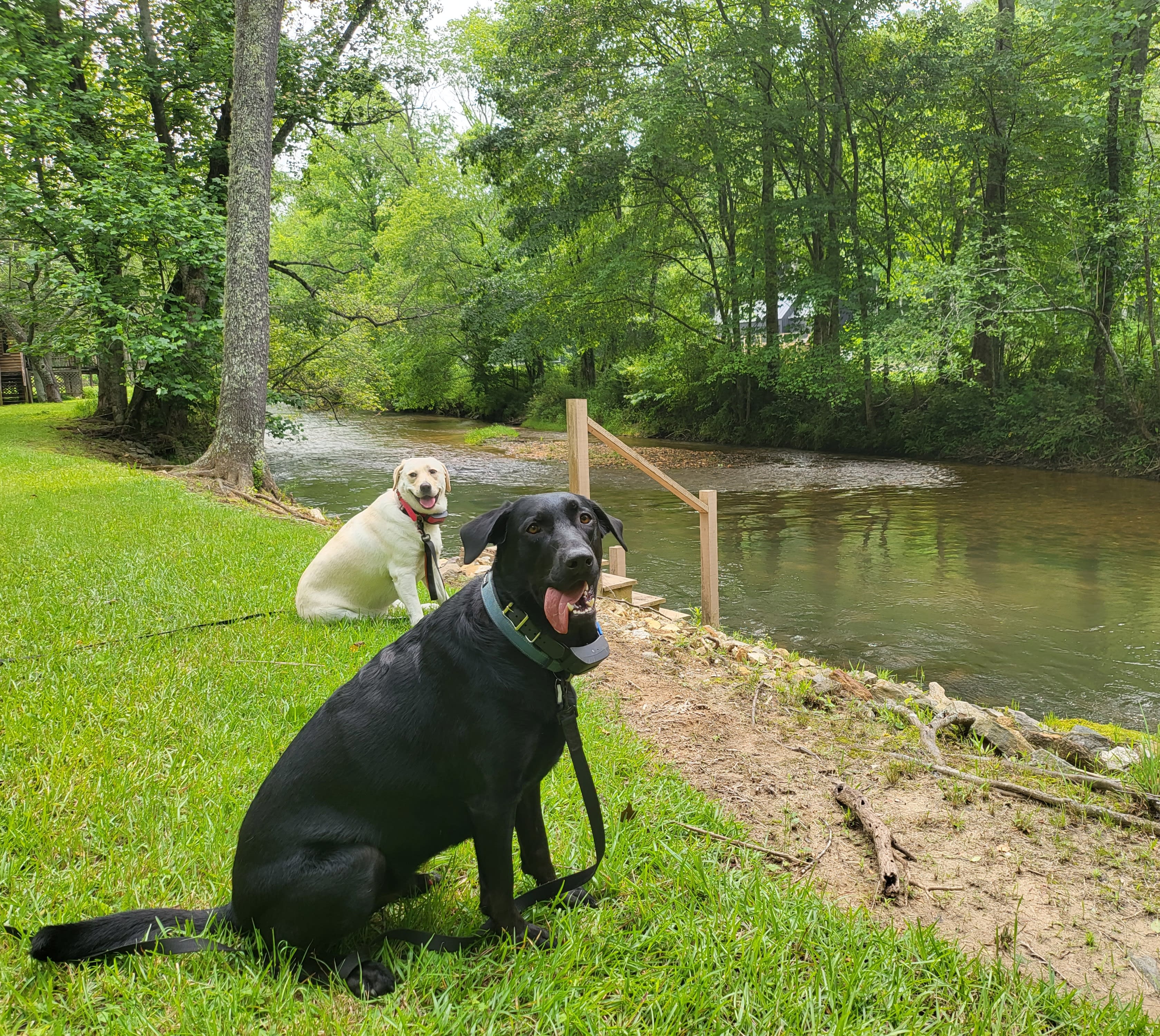 Toccoa Currents: Headwaters