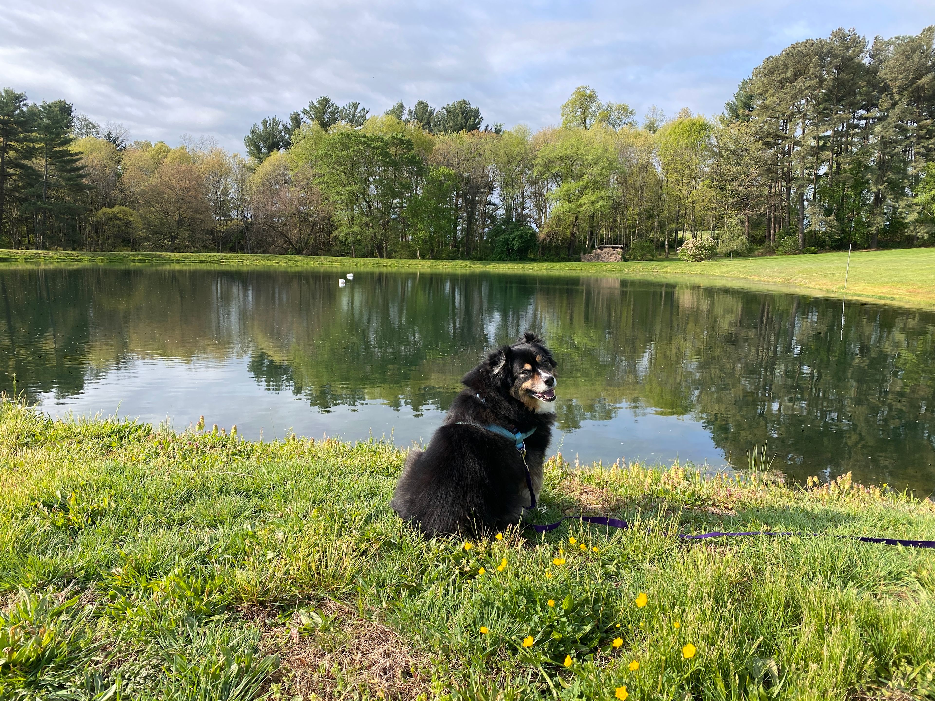 Fawn View Farm, Pond & Fields