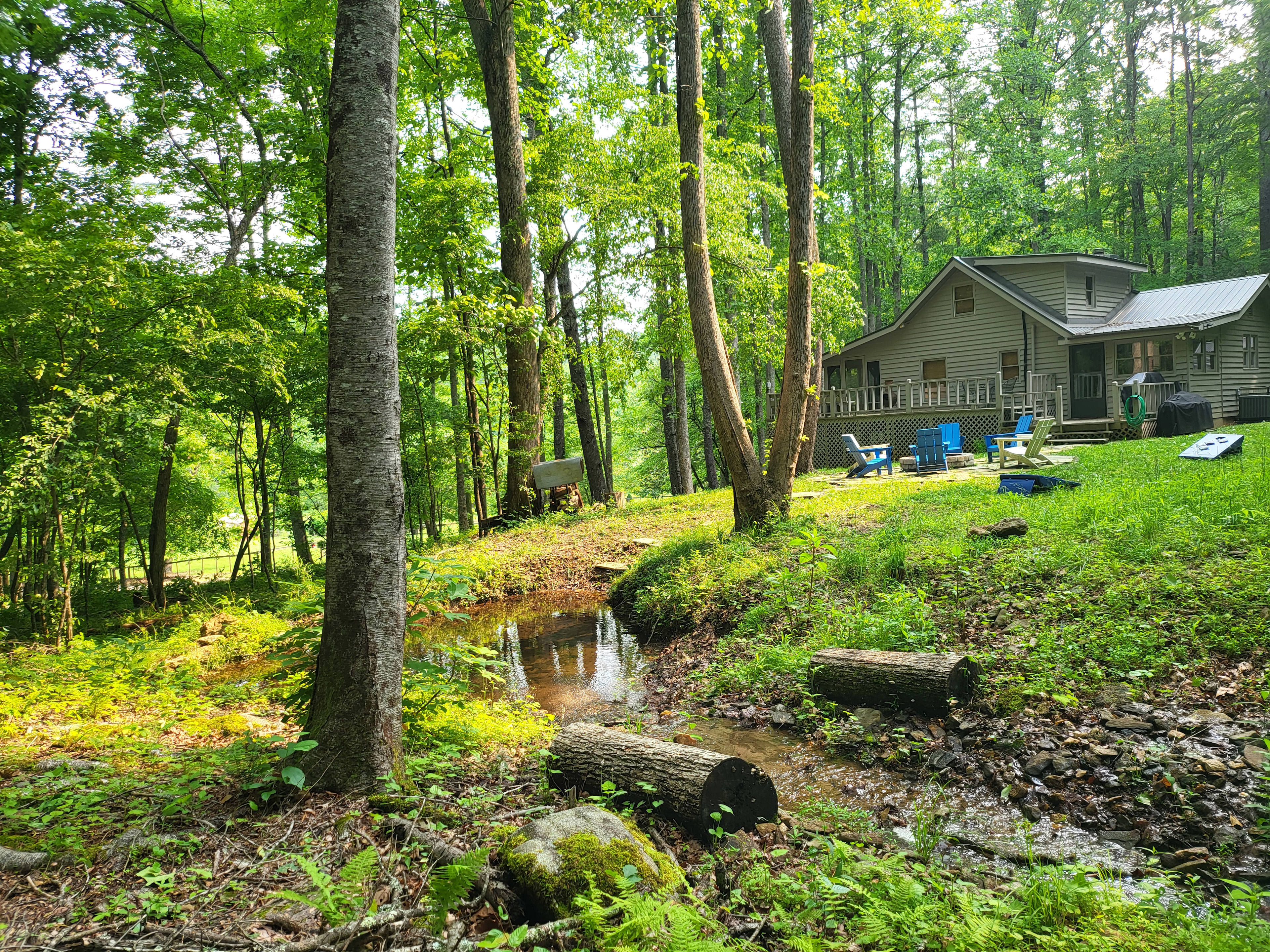 Toccoa Currents: Fish Head Lodge