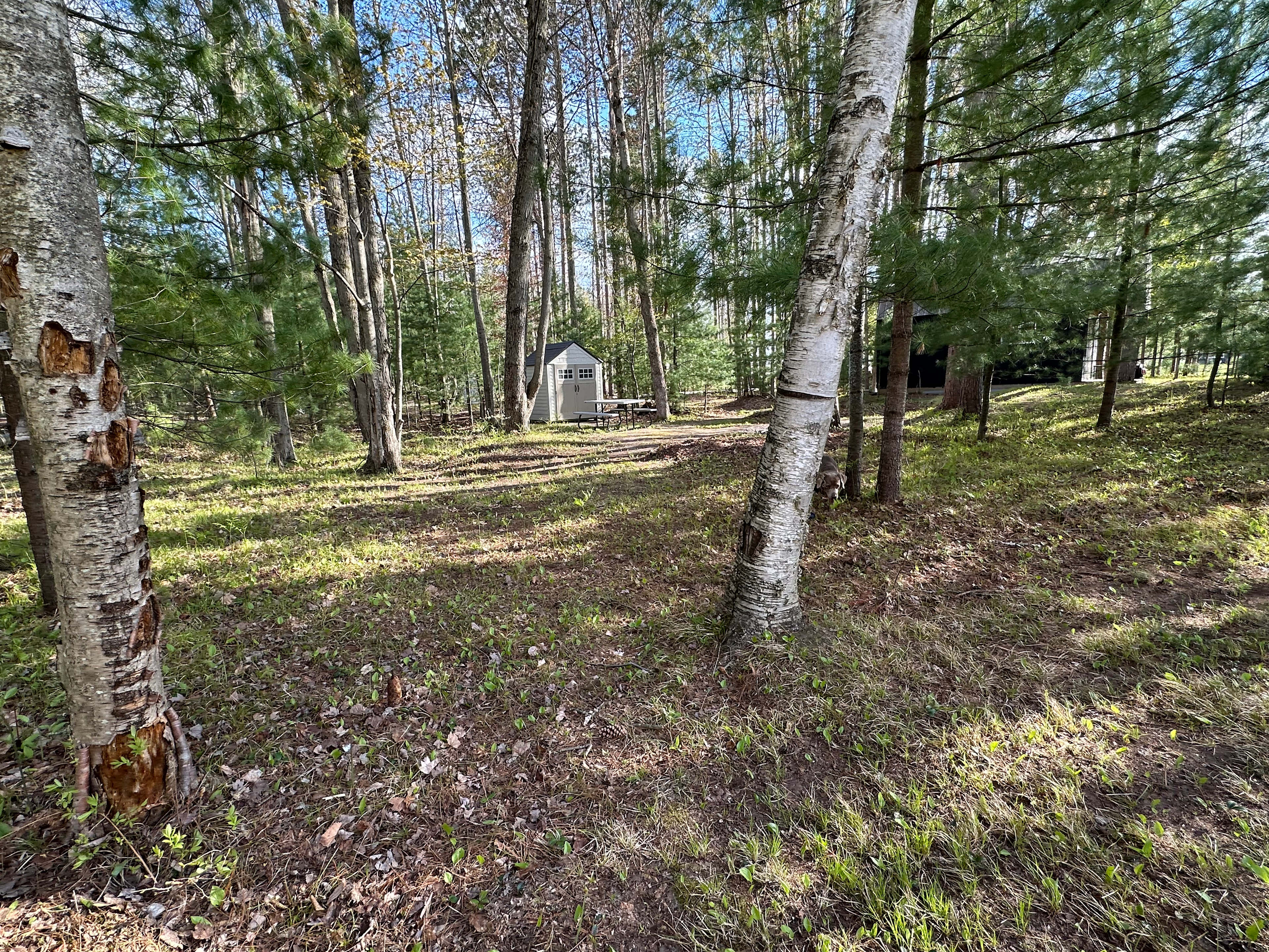 Heron Cove Camp