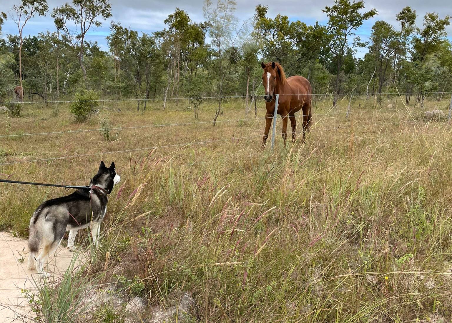 Baroomby Bush Camp