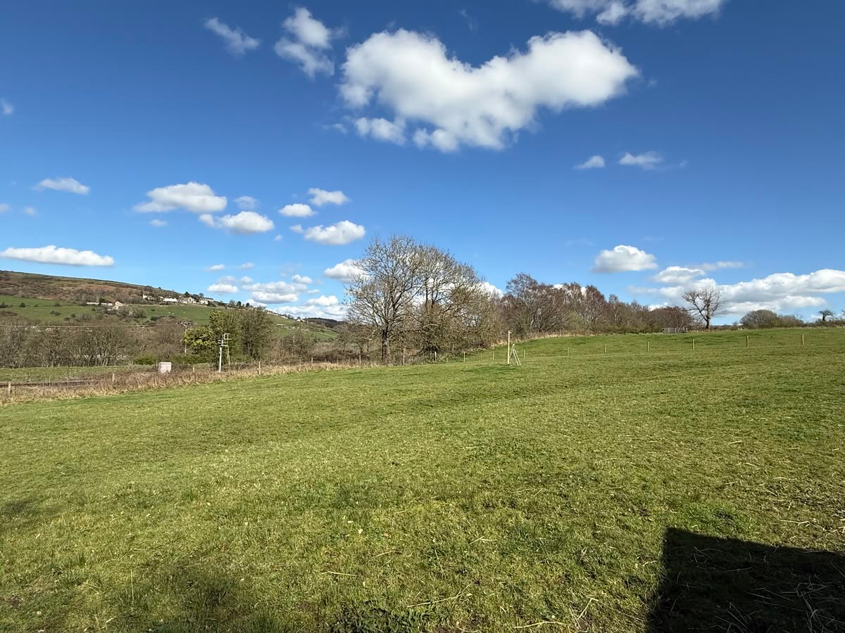 Disley Meadow