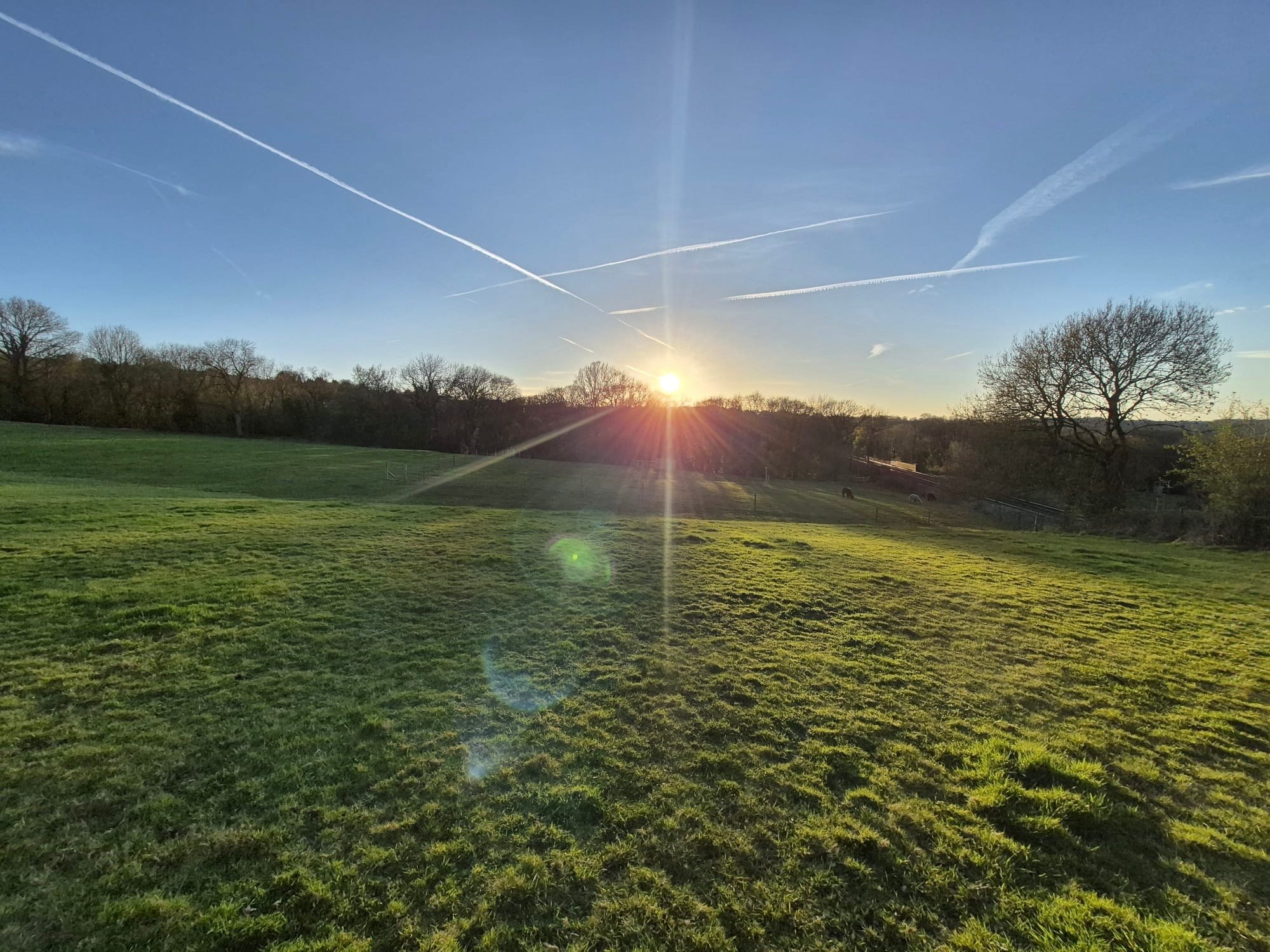Disley Meadow