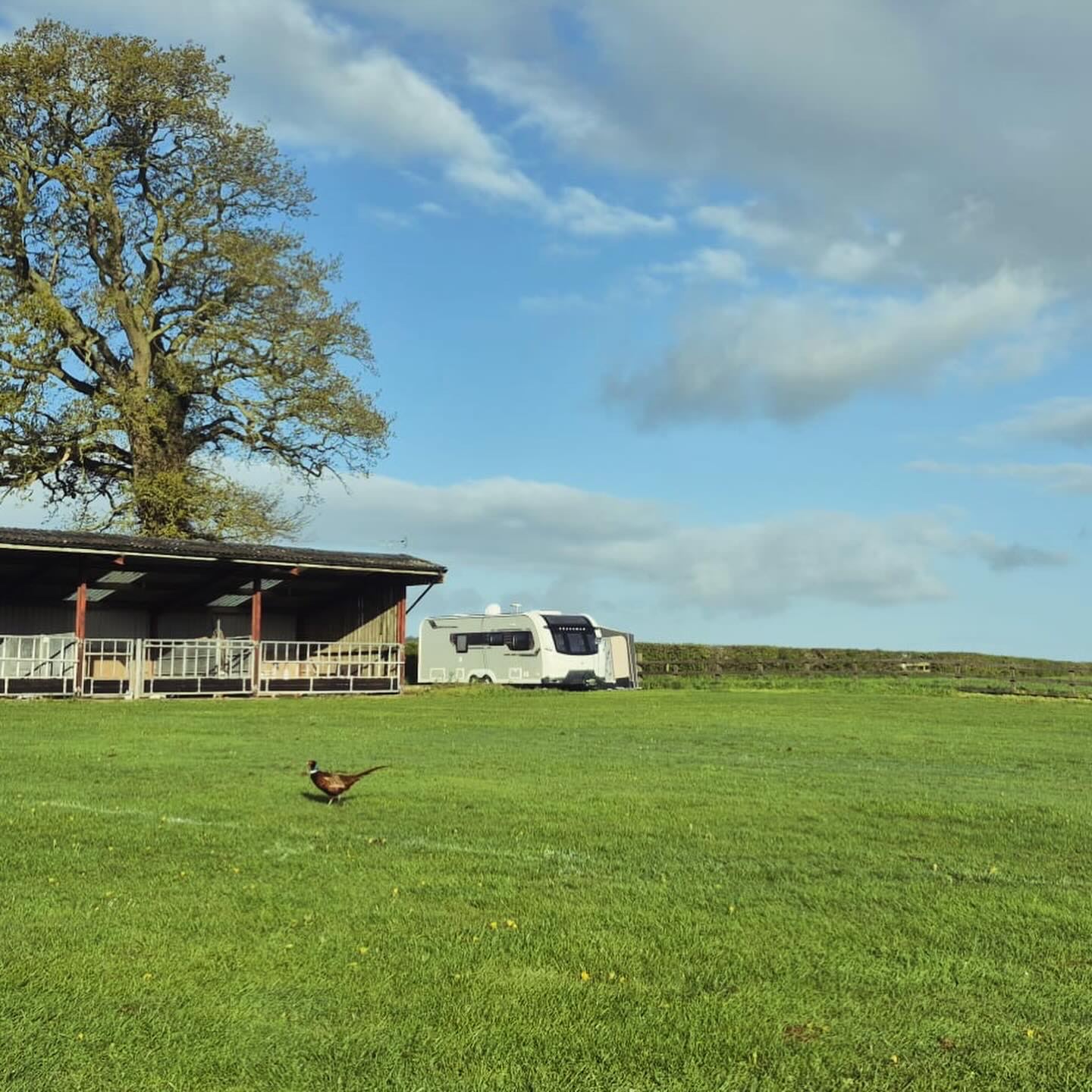 Brig O Doon Caravan Site