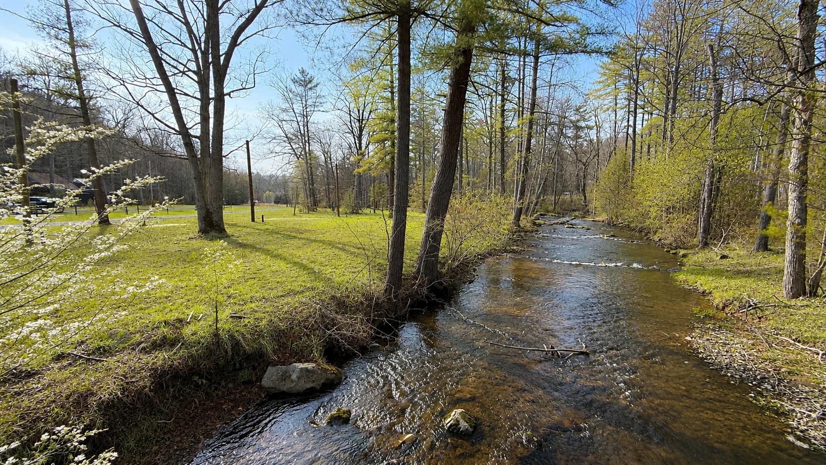 Colonel's Creekside Campground