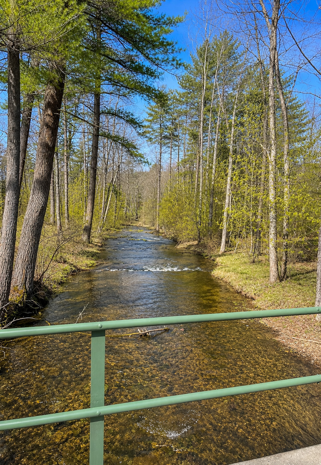 Colonel's Creekside Campground