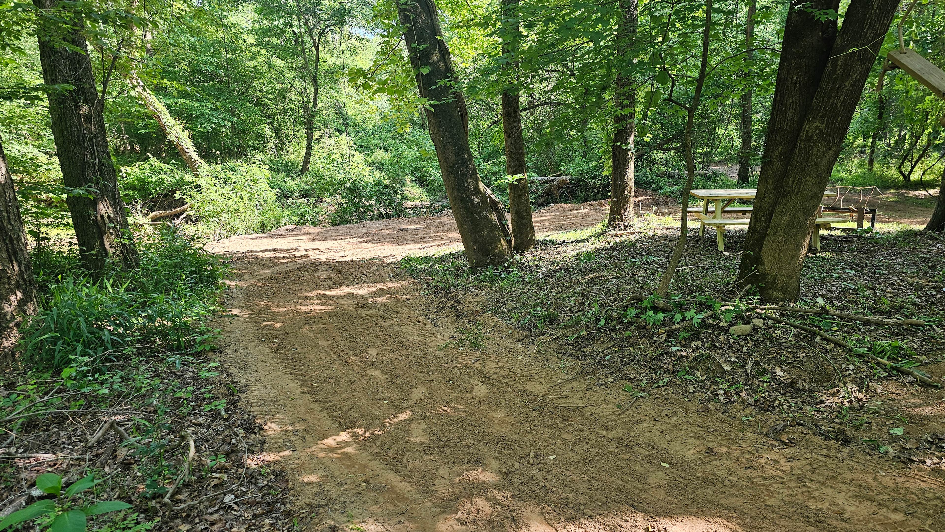 Snapping shoals creek