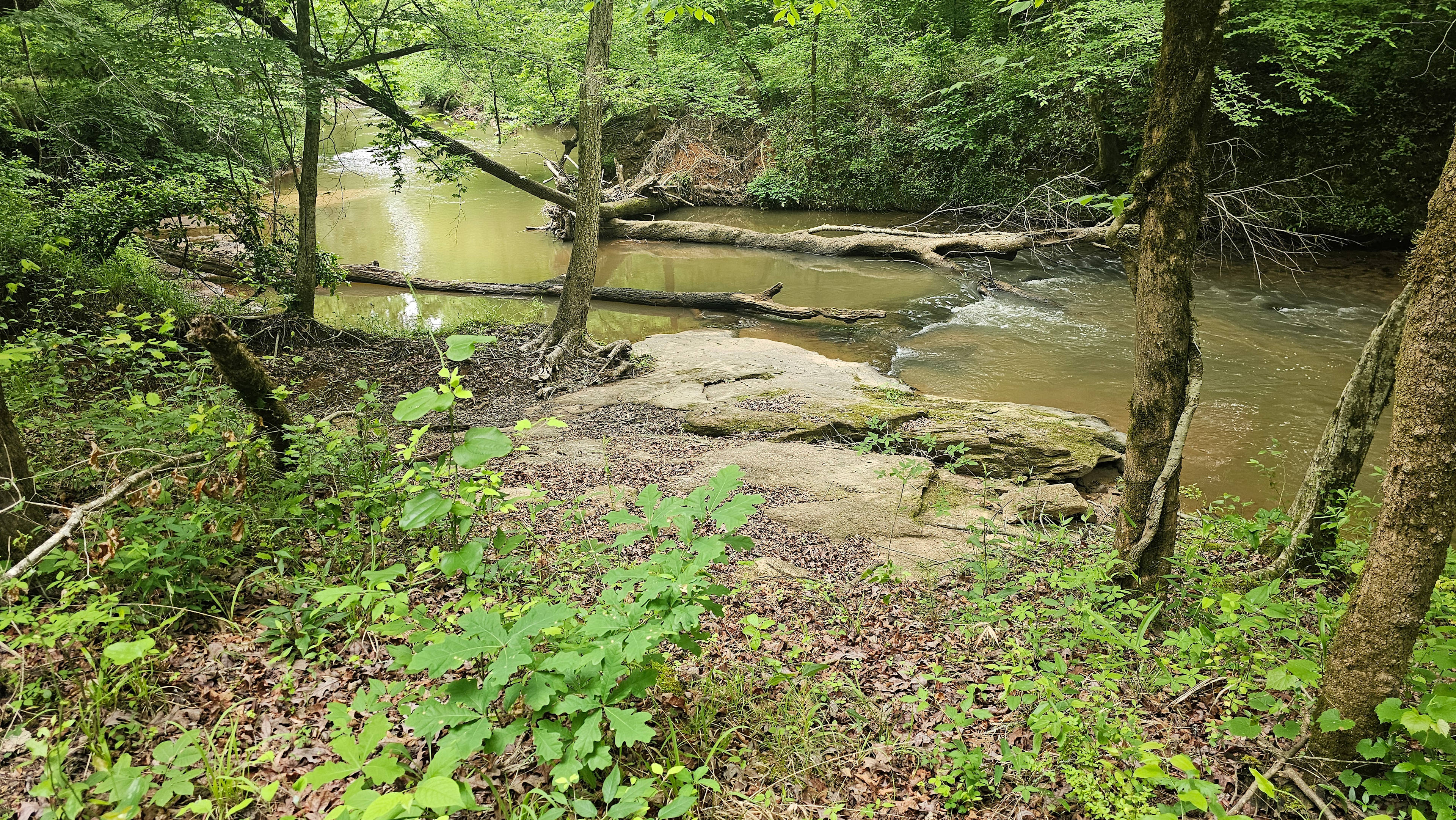 Snapping Shoals Creek
