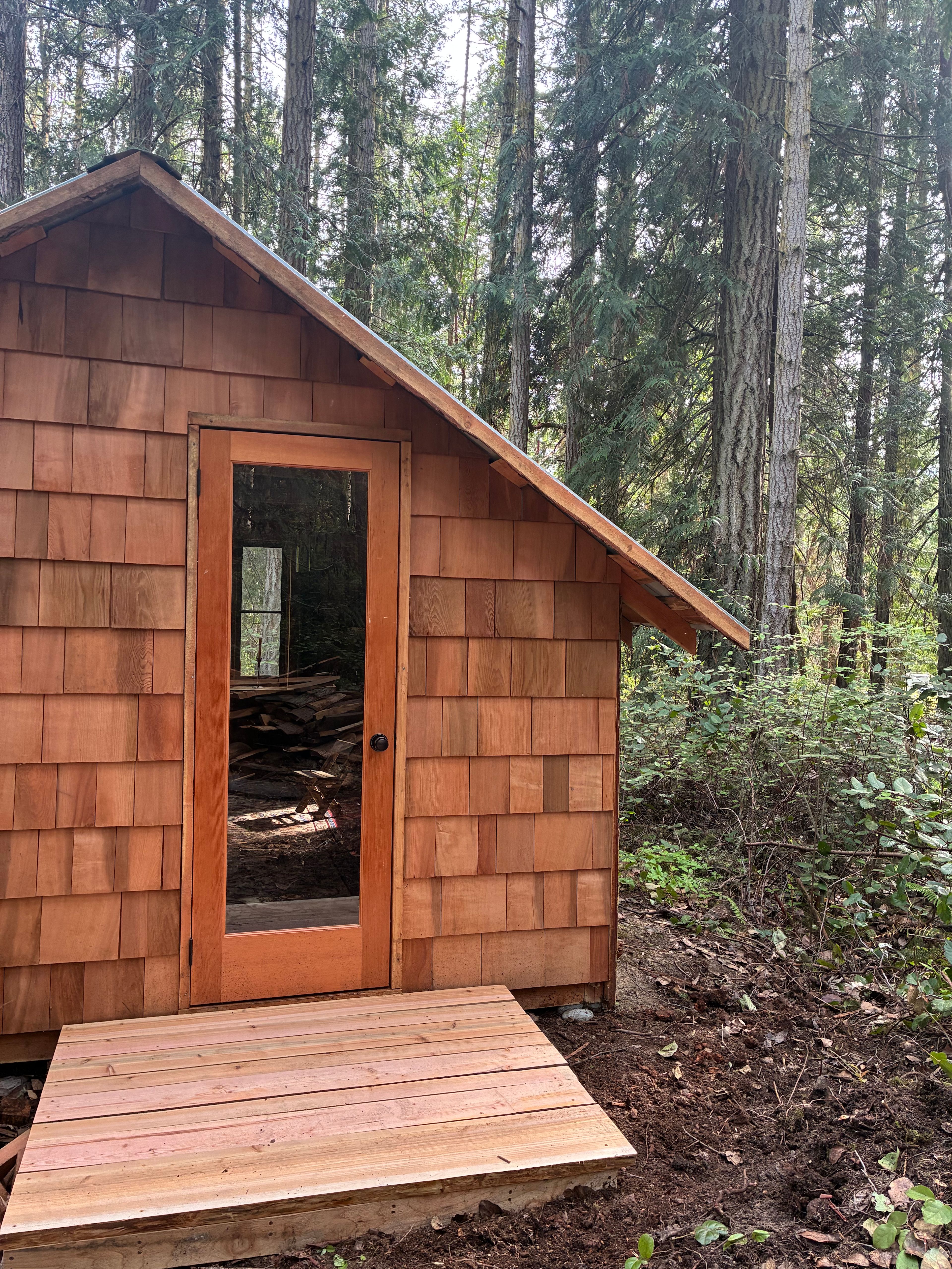 Primitive ForRest Cabin