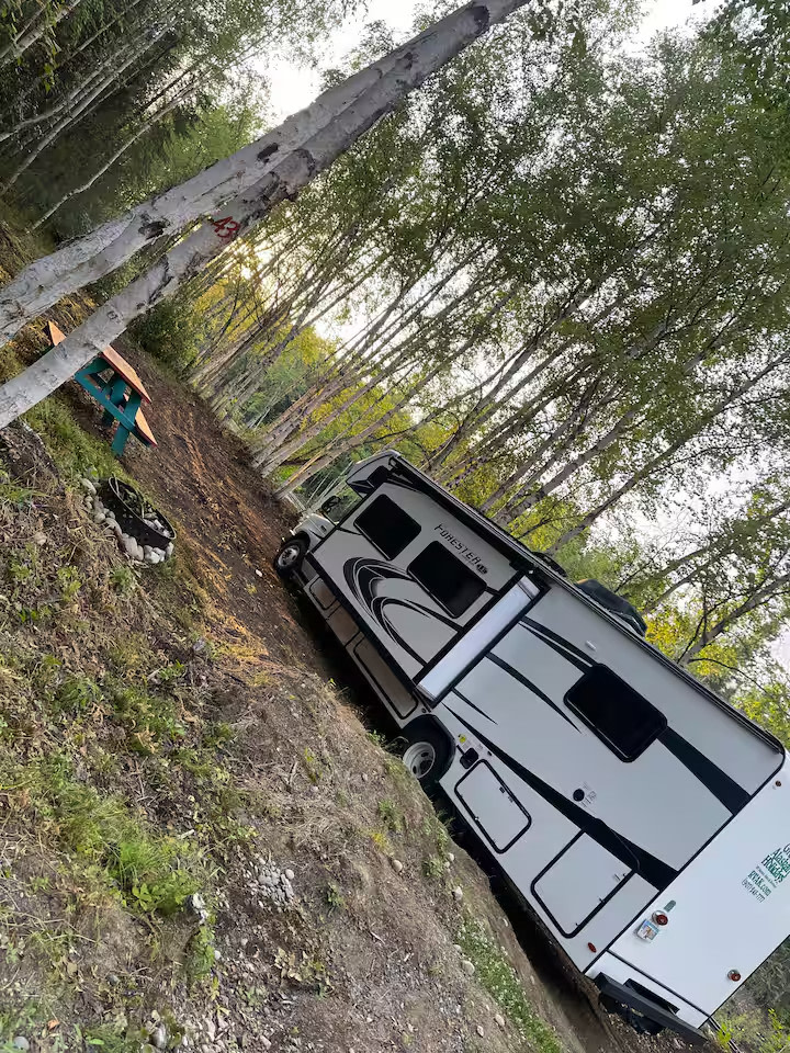 Clean Forest type camping