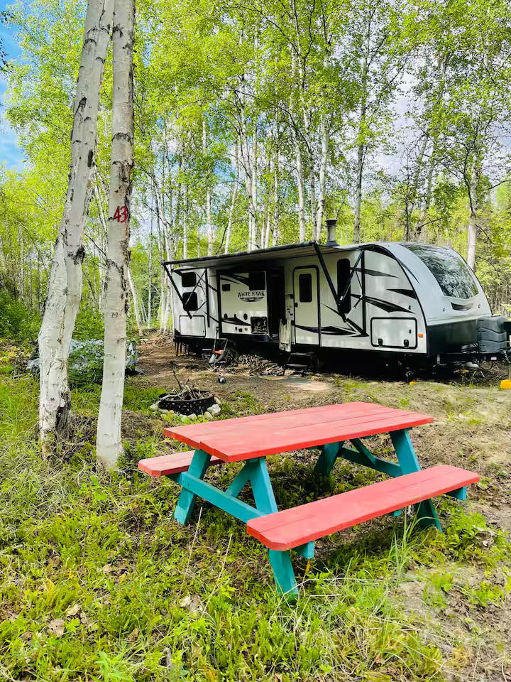 Clean Forest type camping