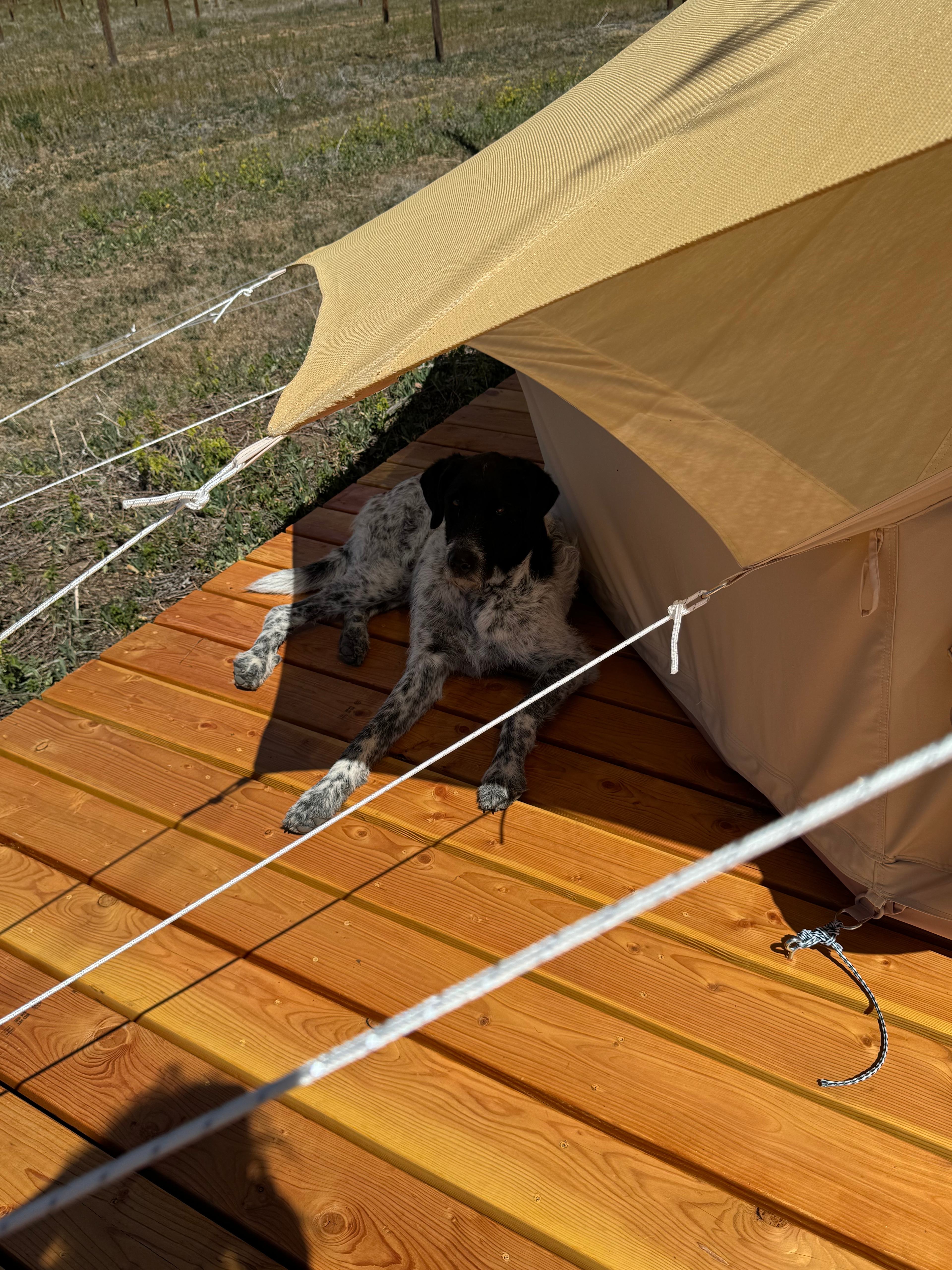 The Hop Yard Hideaway