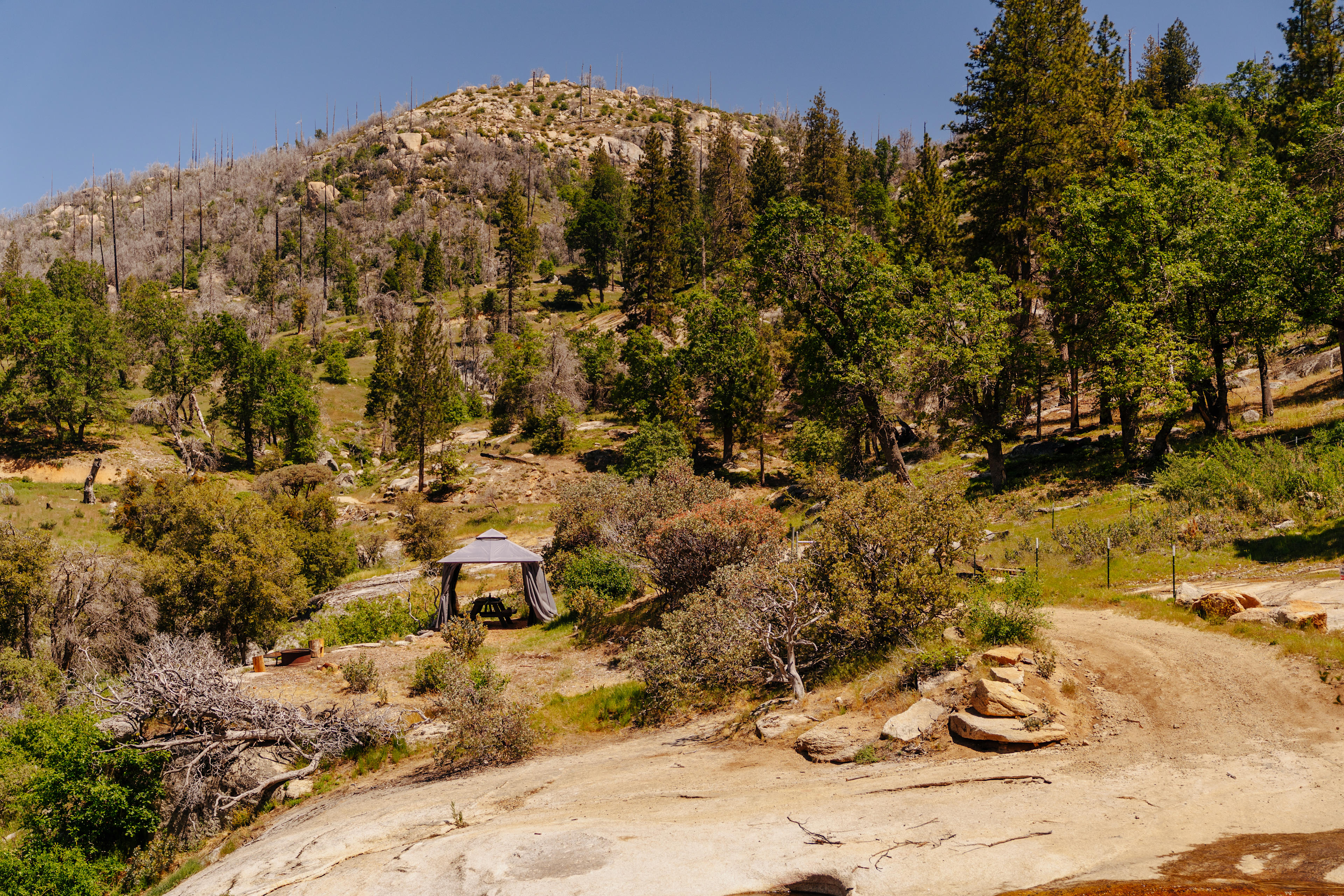 Musick Creek Falls  by Shaver Lake