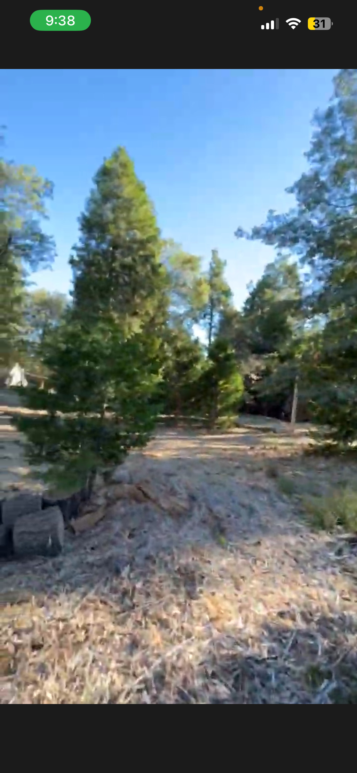 The Little Blue Cabin